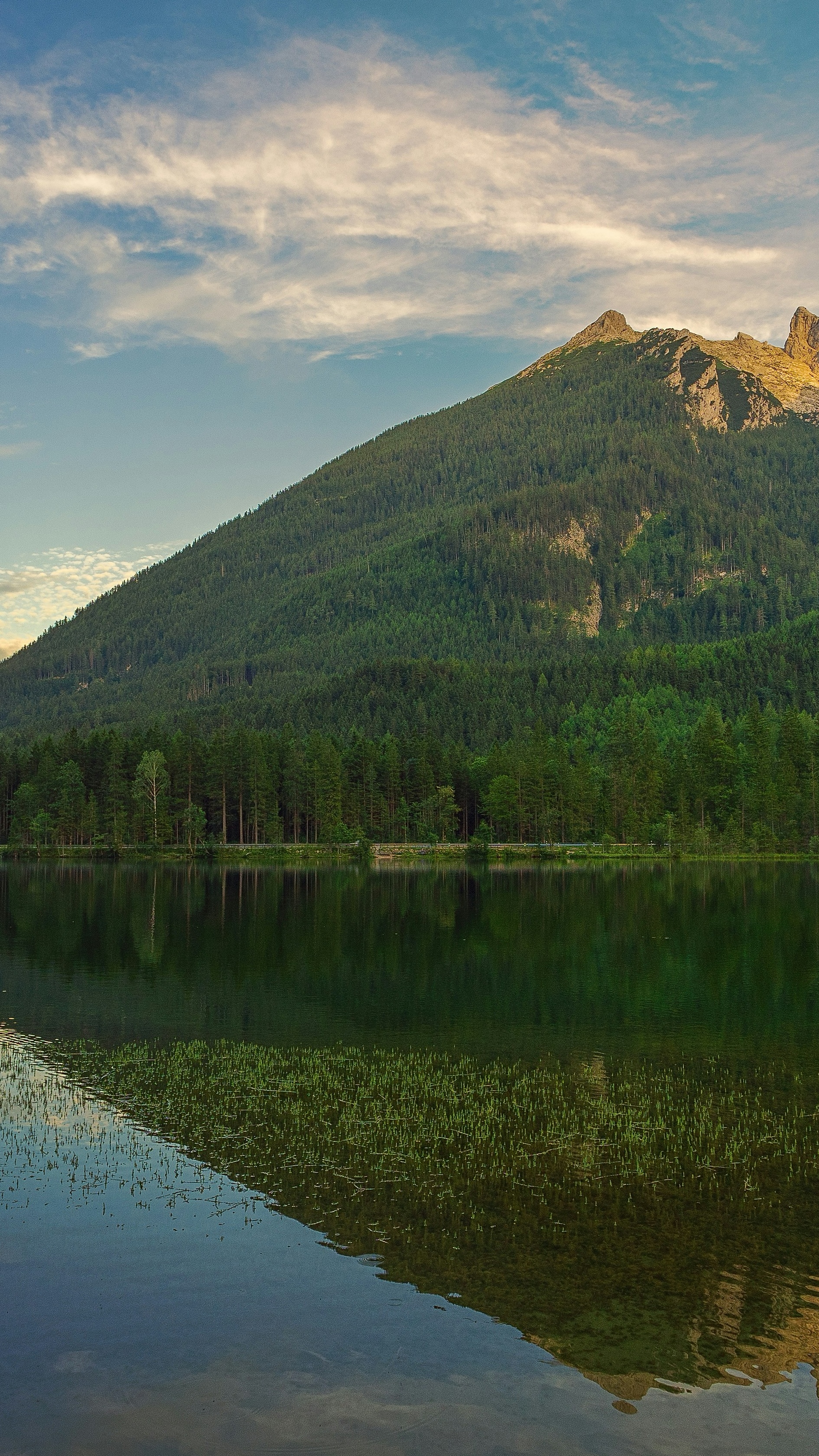 Landscapes