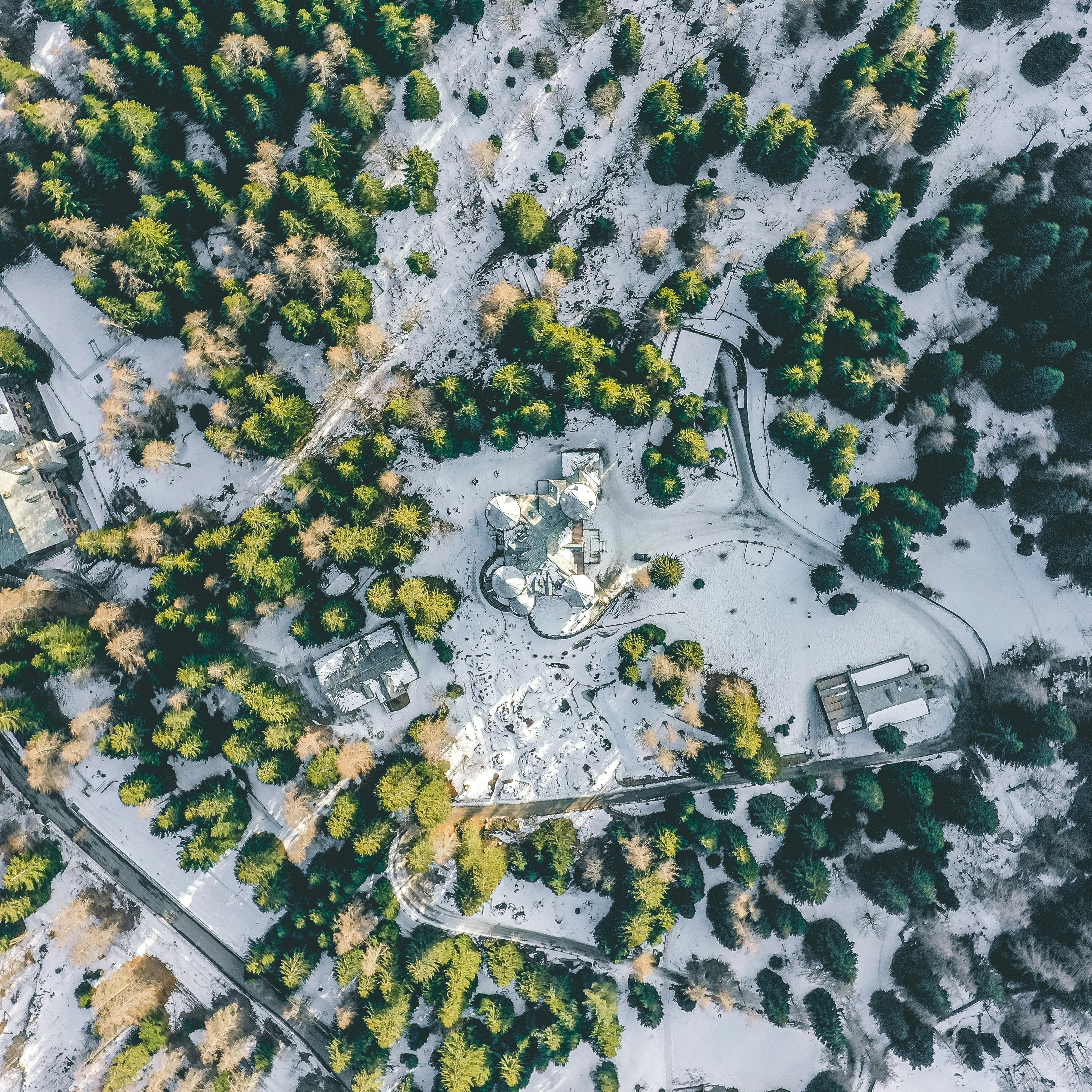 Aerial View of Snowy Forest Estate