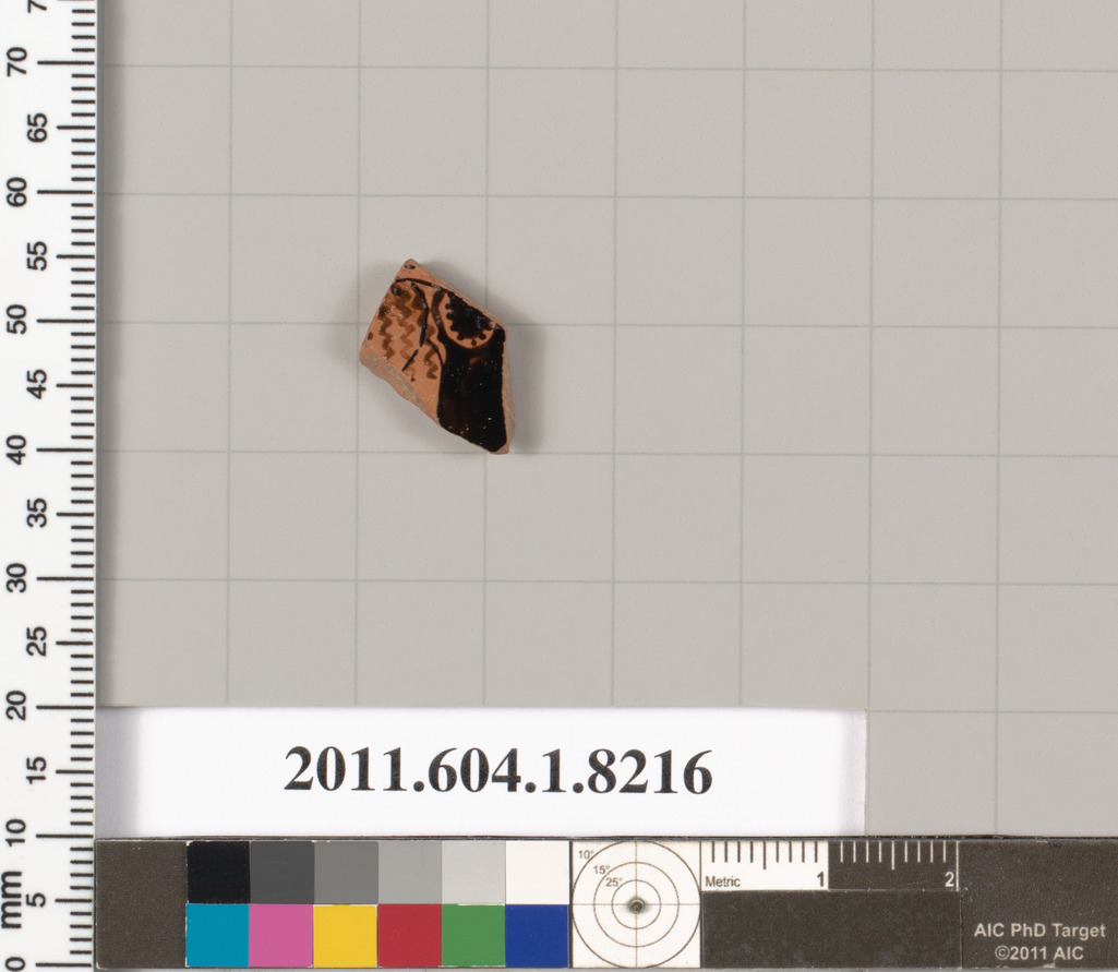 Cataloged Pottery Shard Specimen