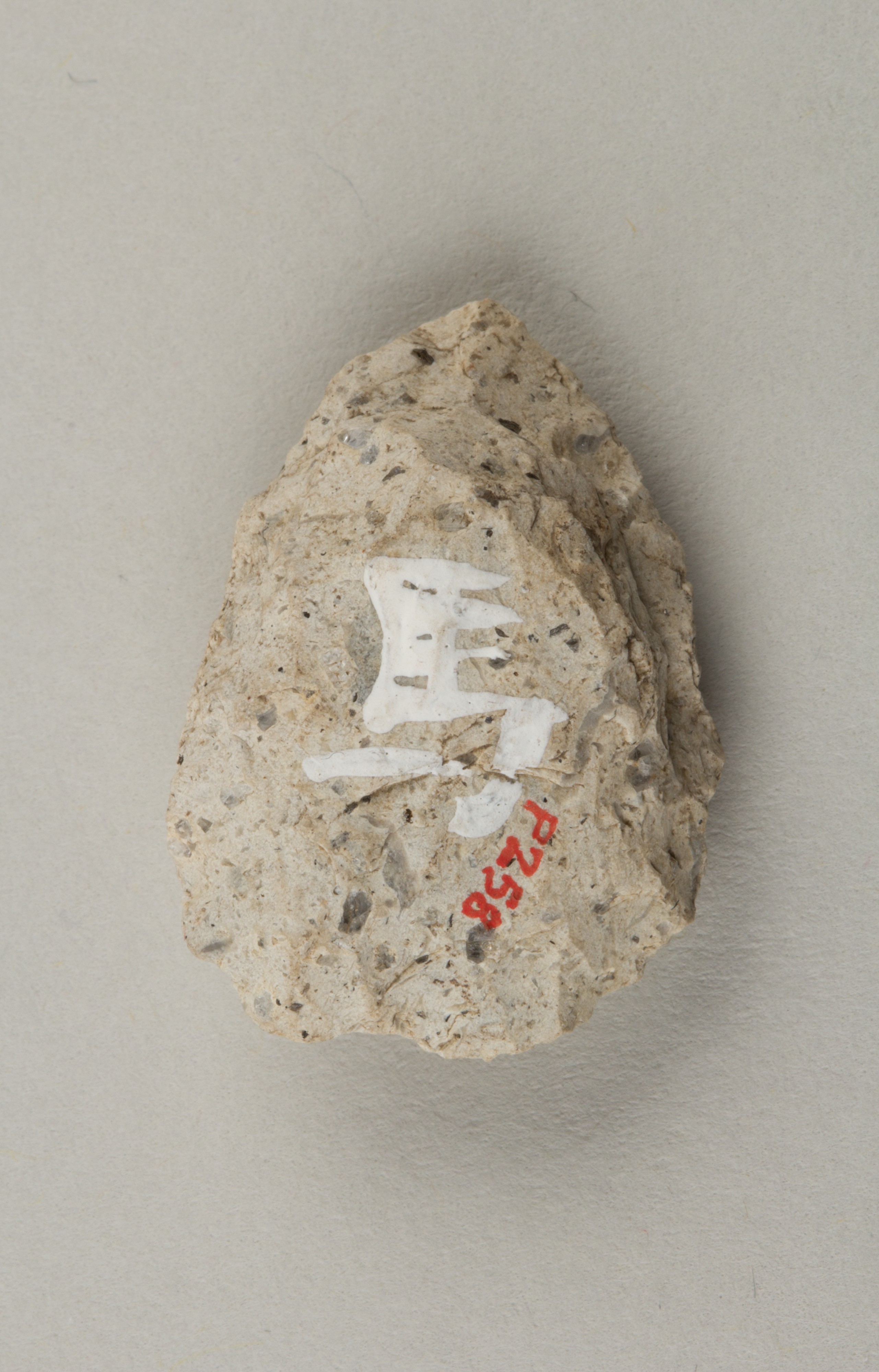 Labeled Archaeological Stone Artifact