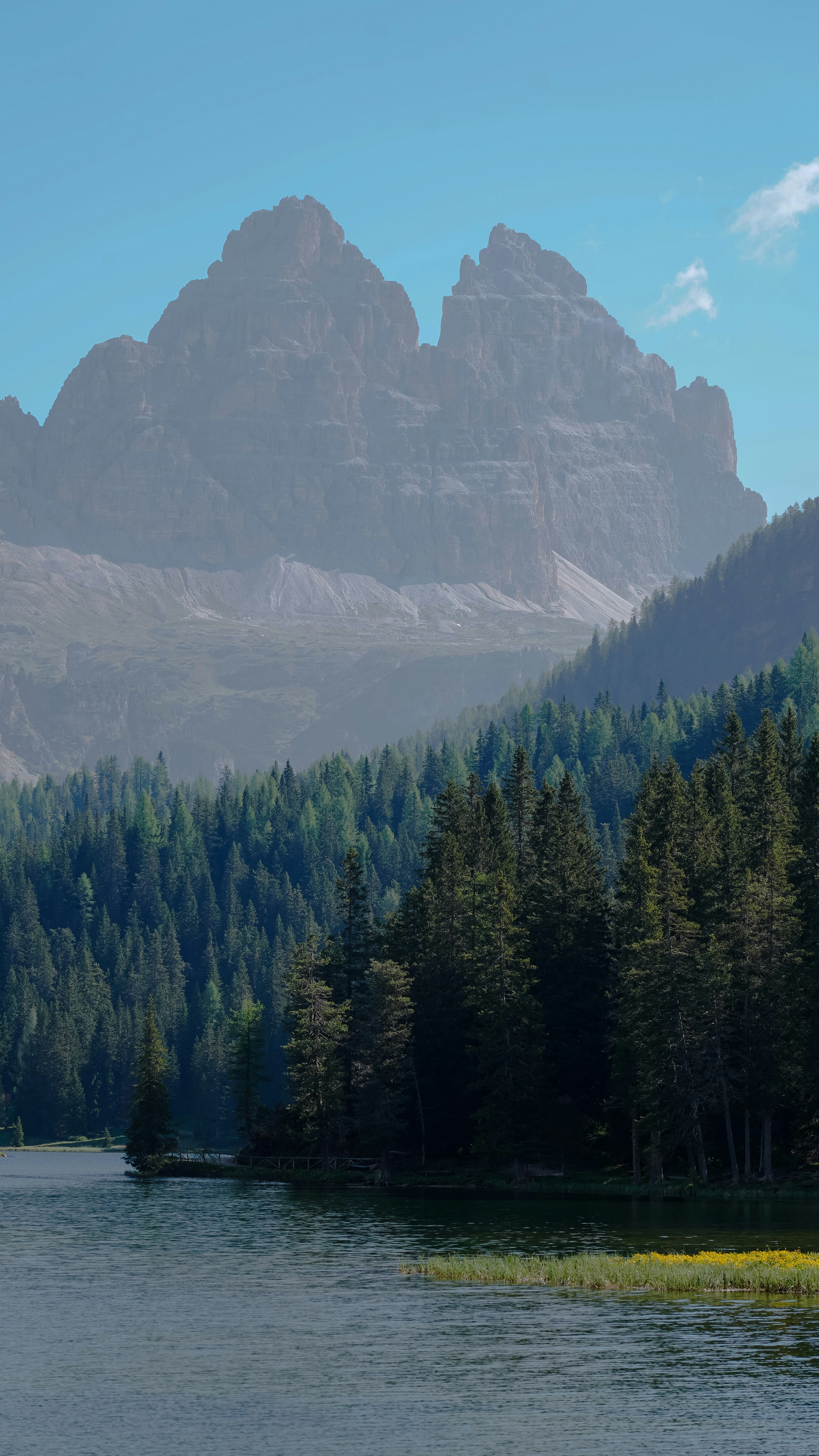 Wallpapers