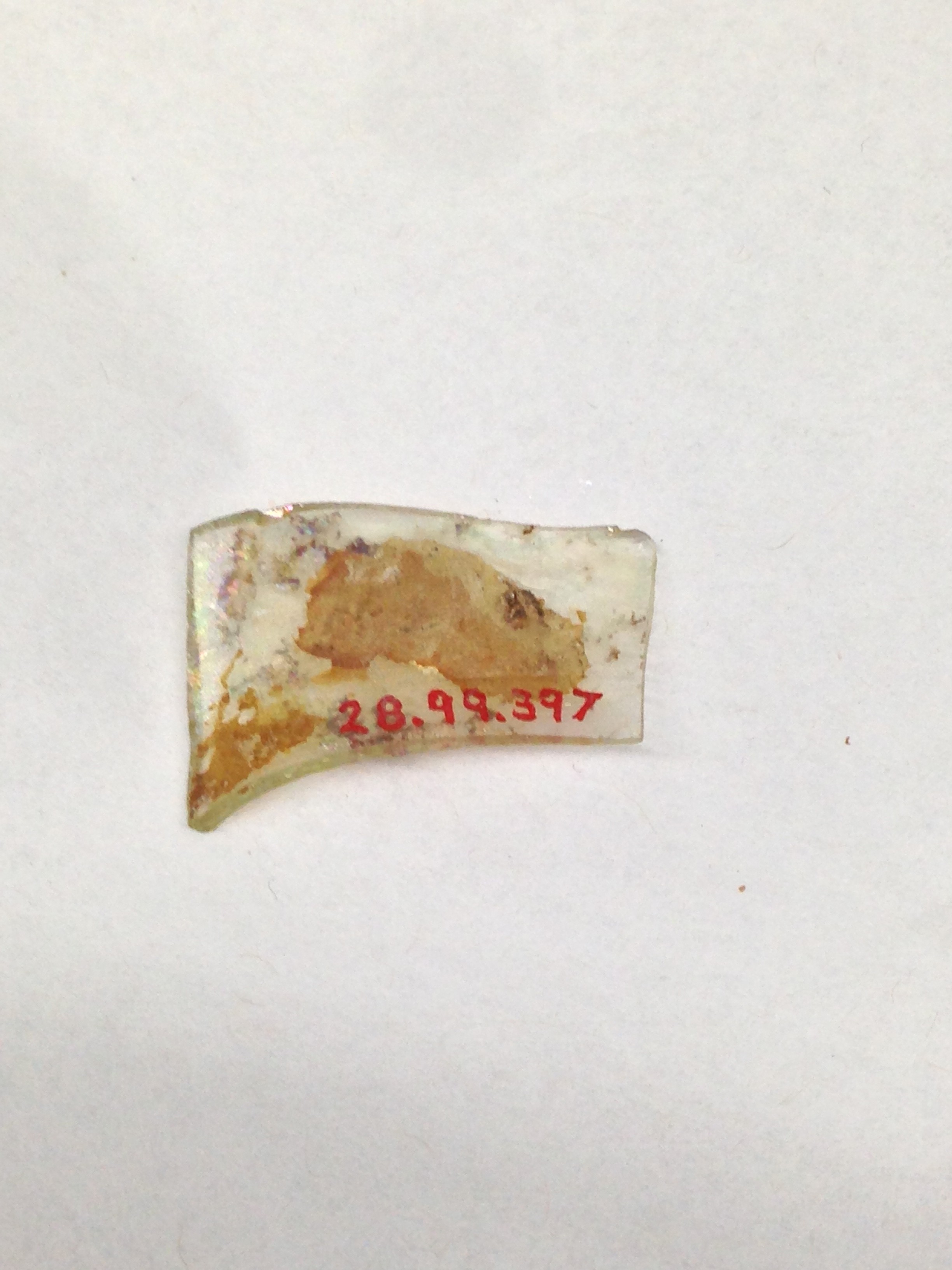 Numbered Glass Artifact Fragment