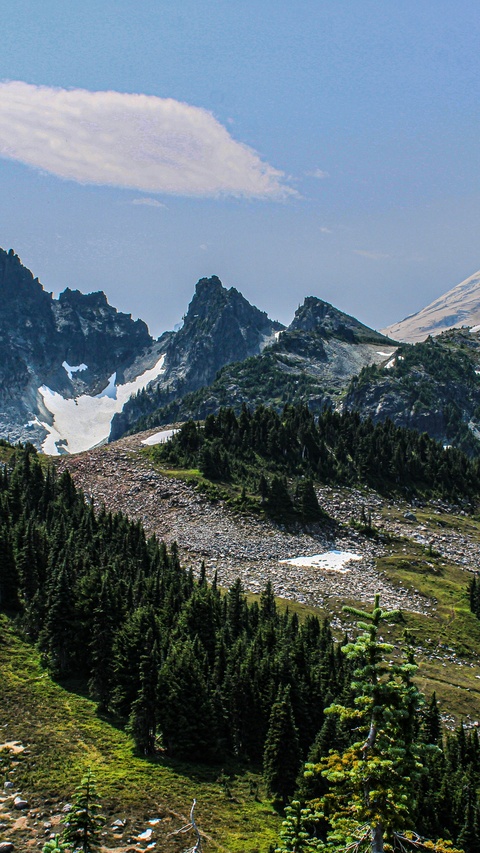 Alpine Mountain Forest Landscape