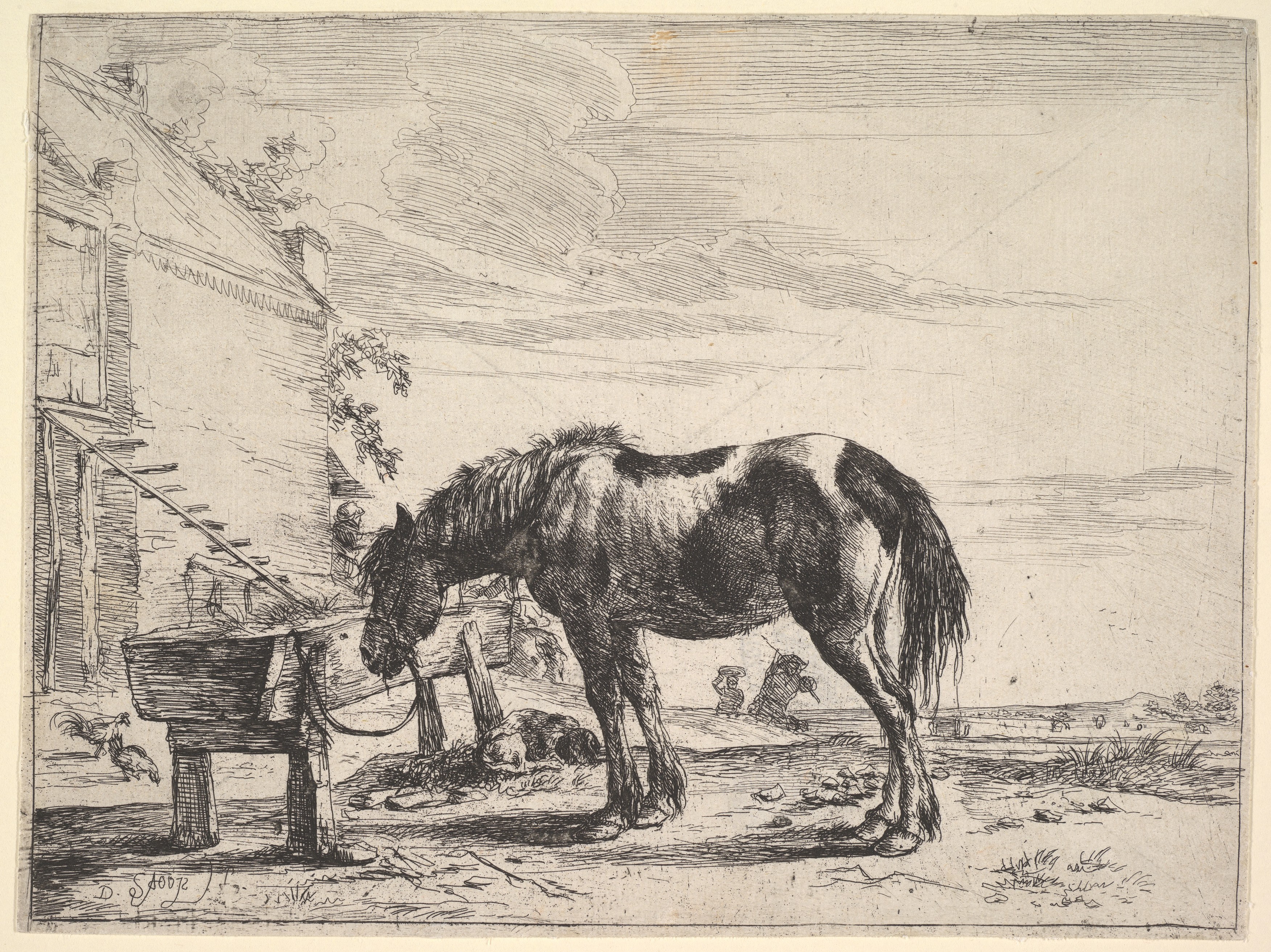 Piebald Horse at Water Trough