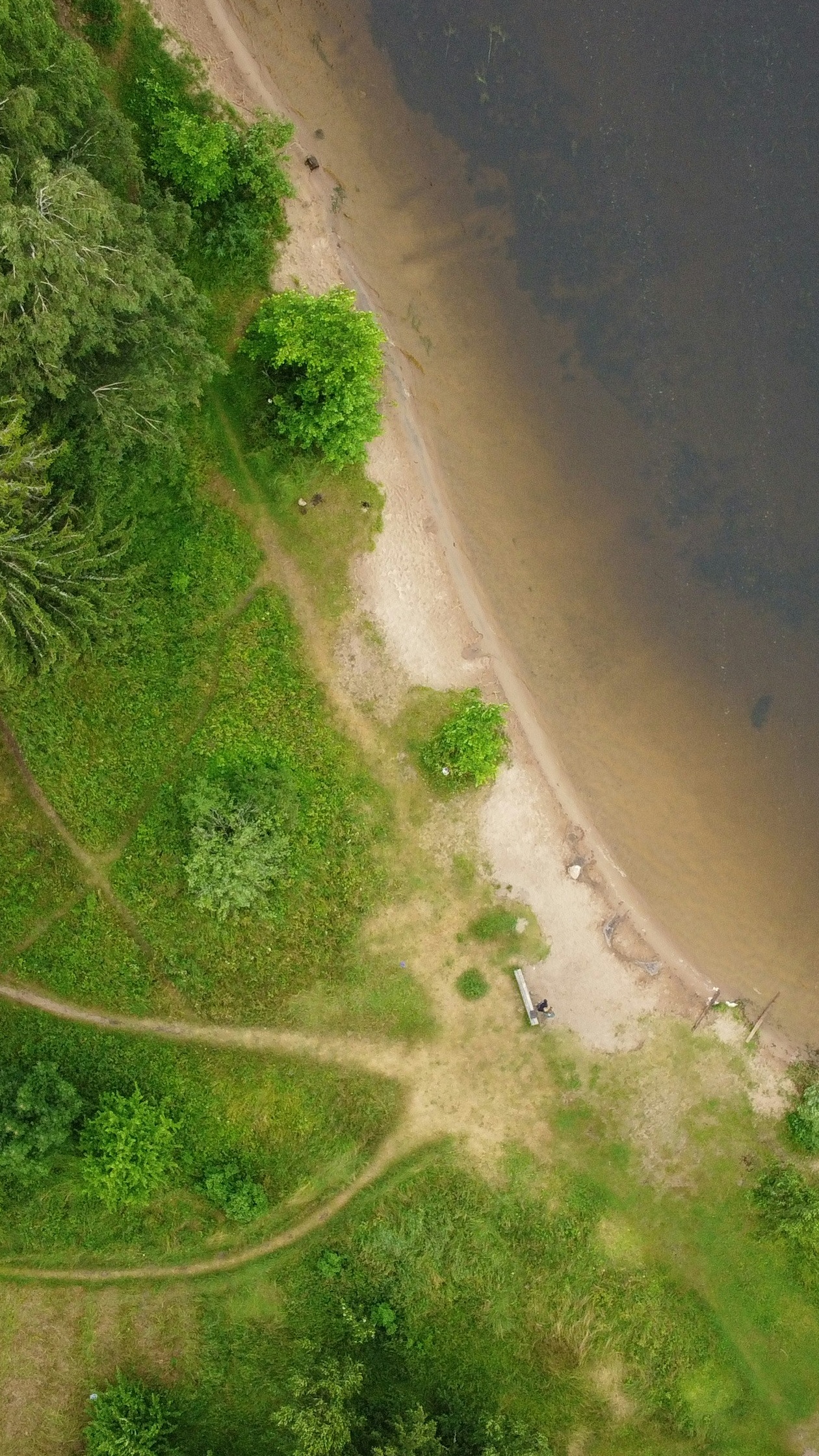 Aerial View of Forested River Shore