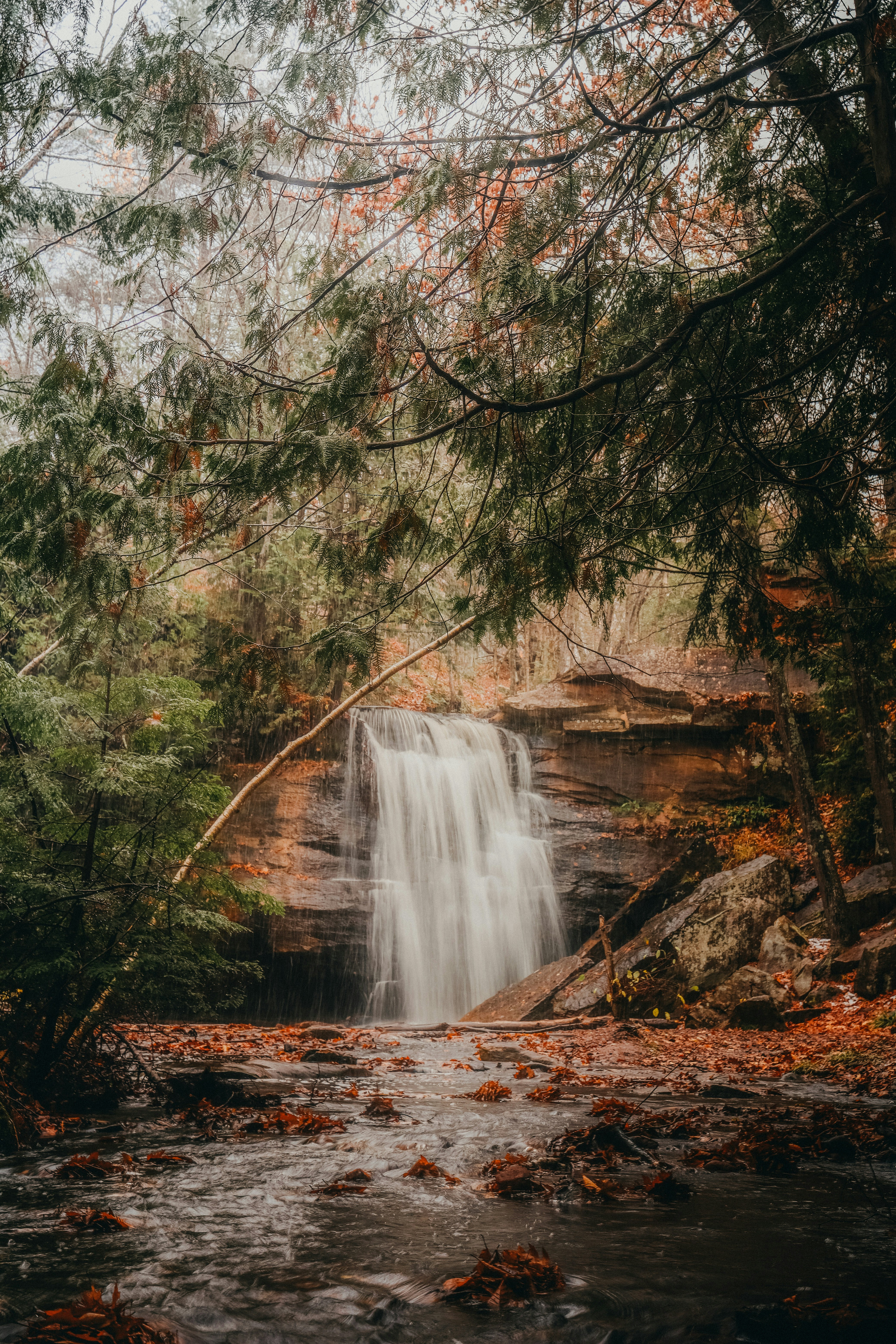 Autumn Forest Waterfall