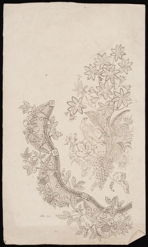 Ink Sketch of Botanical Bird Pattern