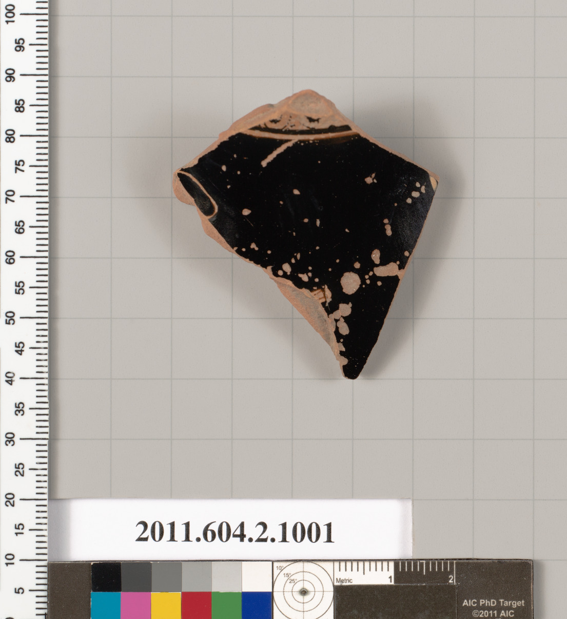 Black Glaze Pottery Fragment