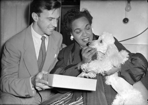 Man and woman interacting with pet poodle
