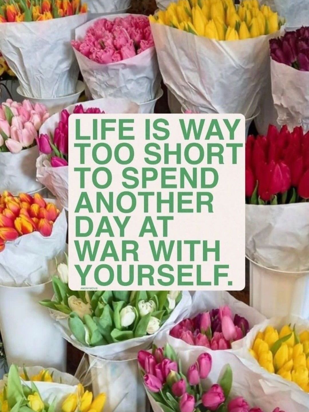 Motivational Quote Over Tulip Bouquets