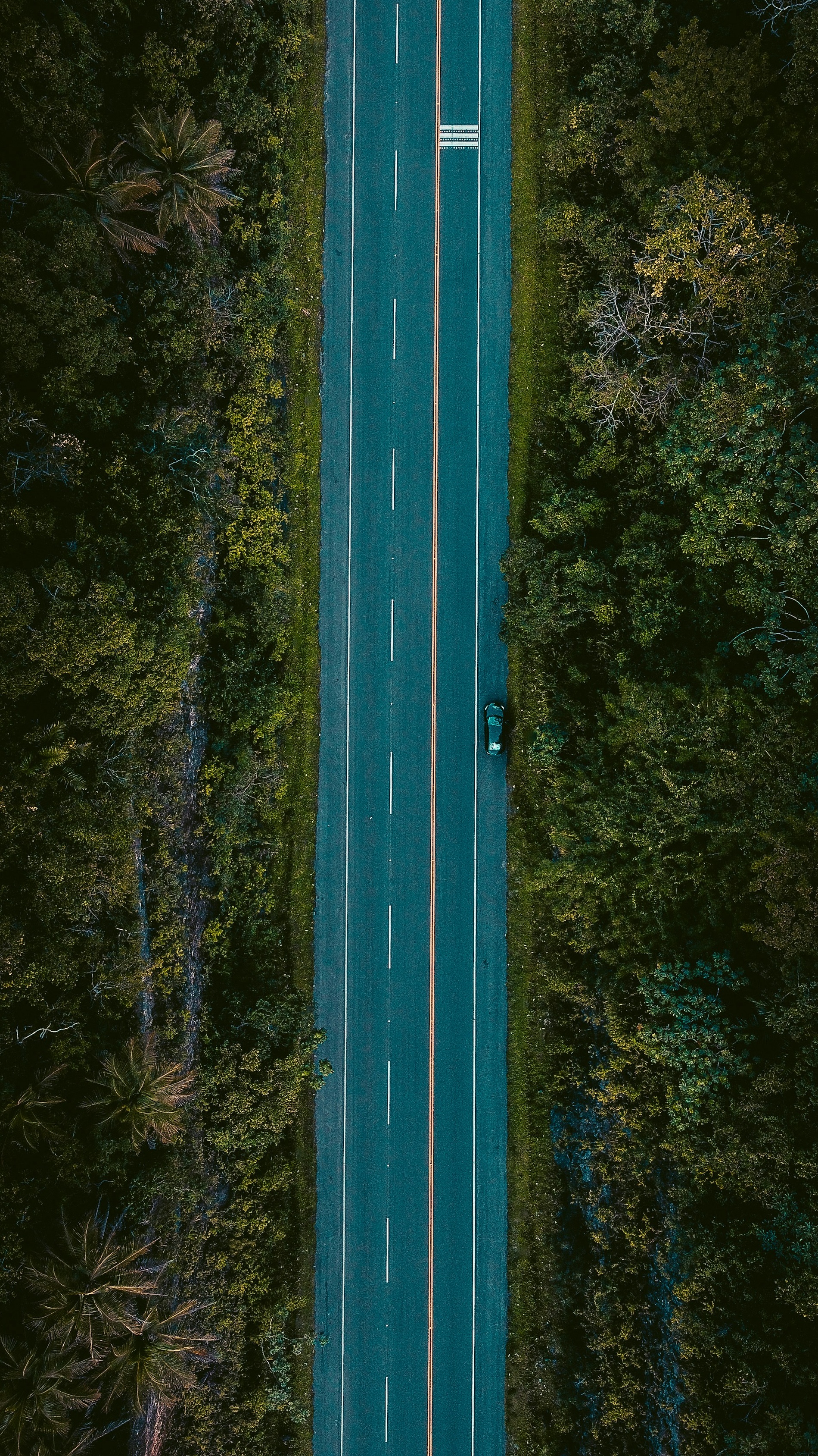Wallpapers