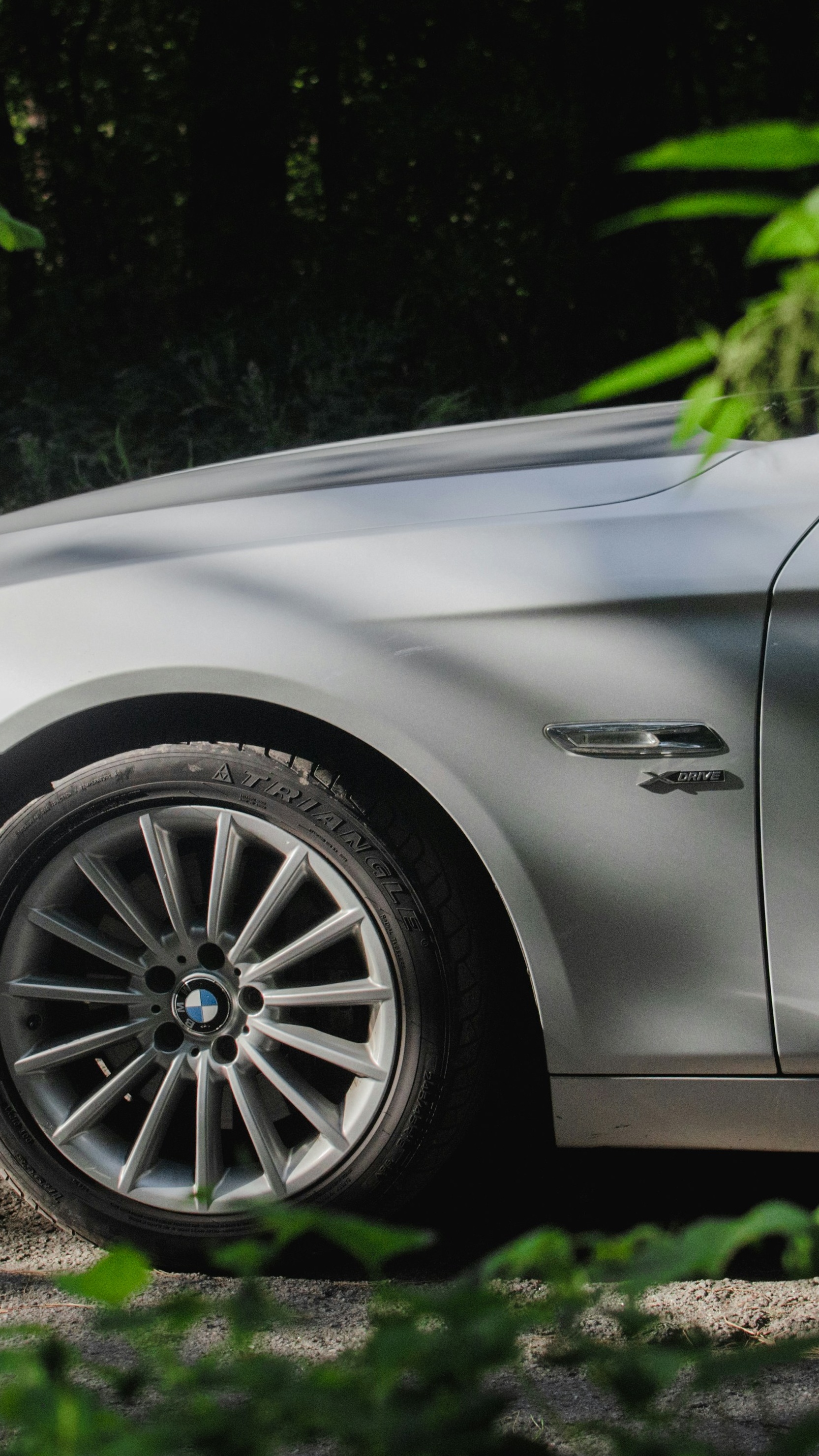 Silver BMW Parked in Forest — Cars