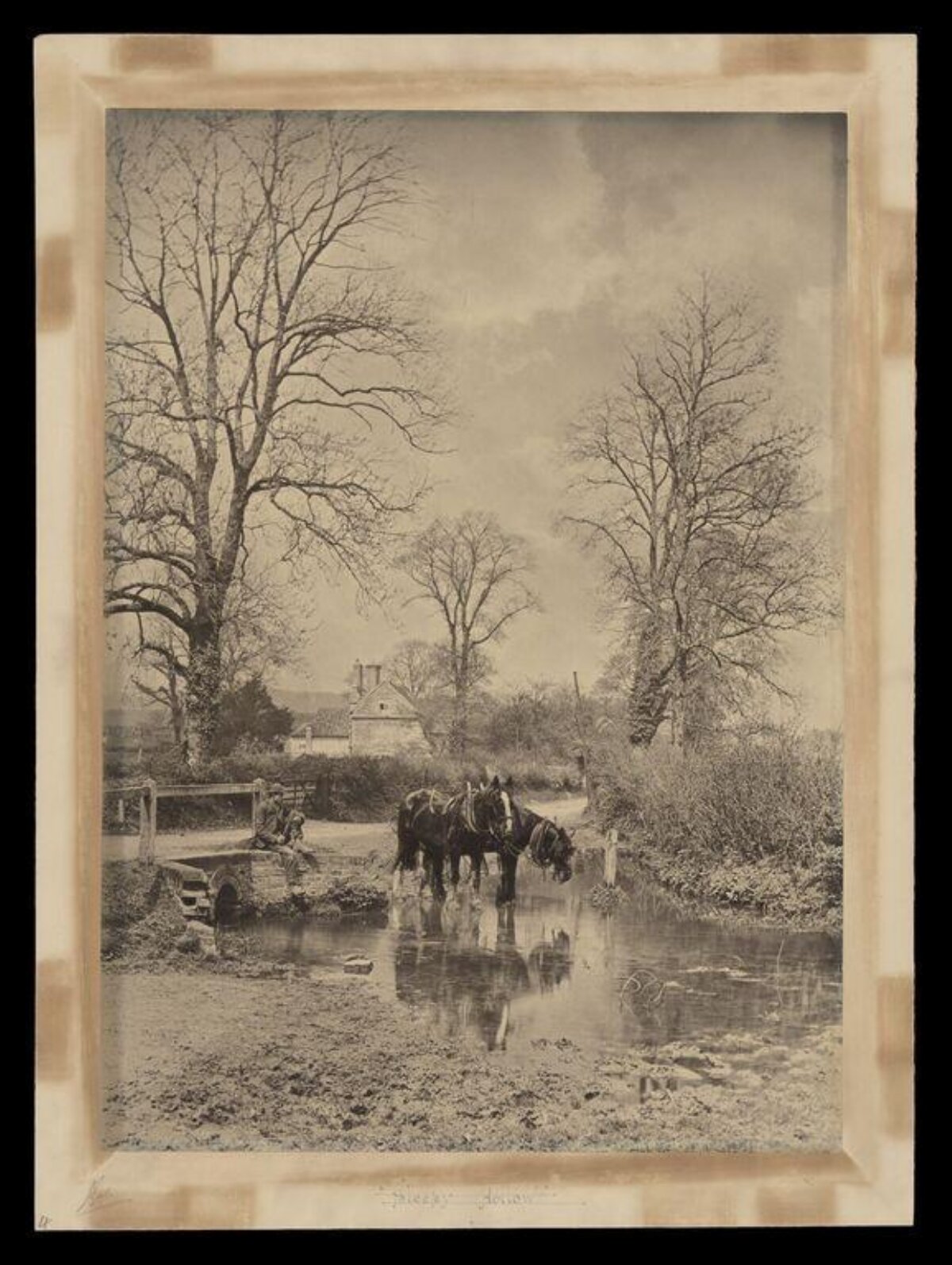 Horses Drinking at Countryside Ford