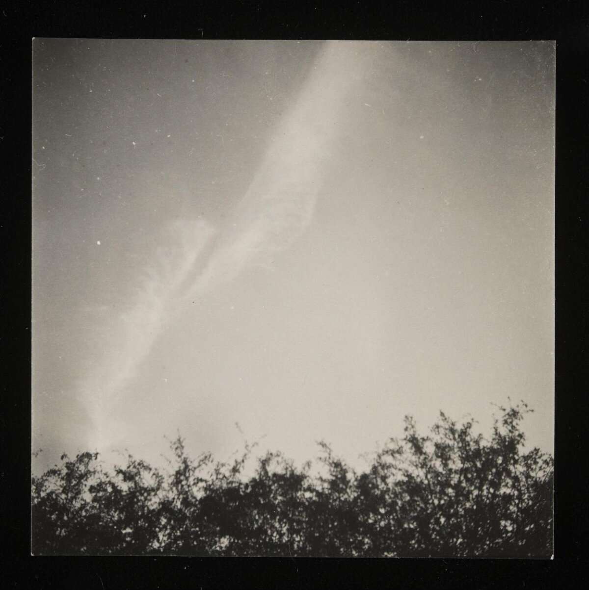 Vintage Long-tailed Comet Over Treeline