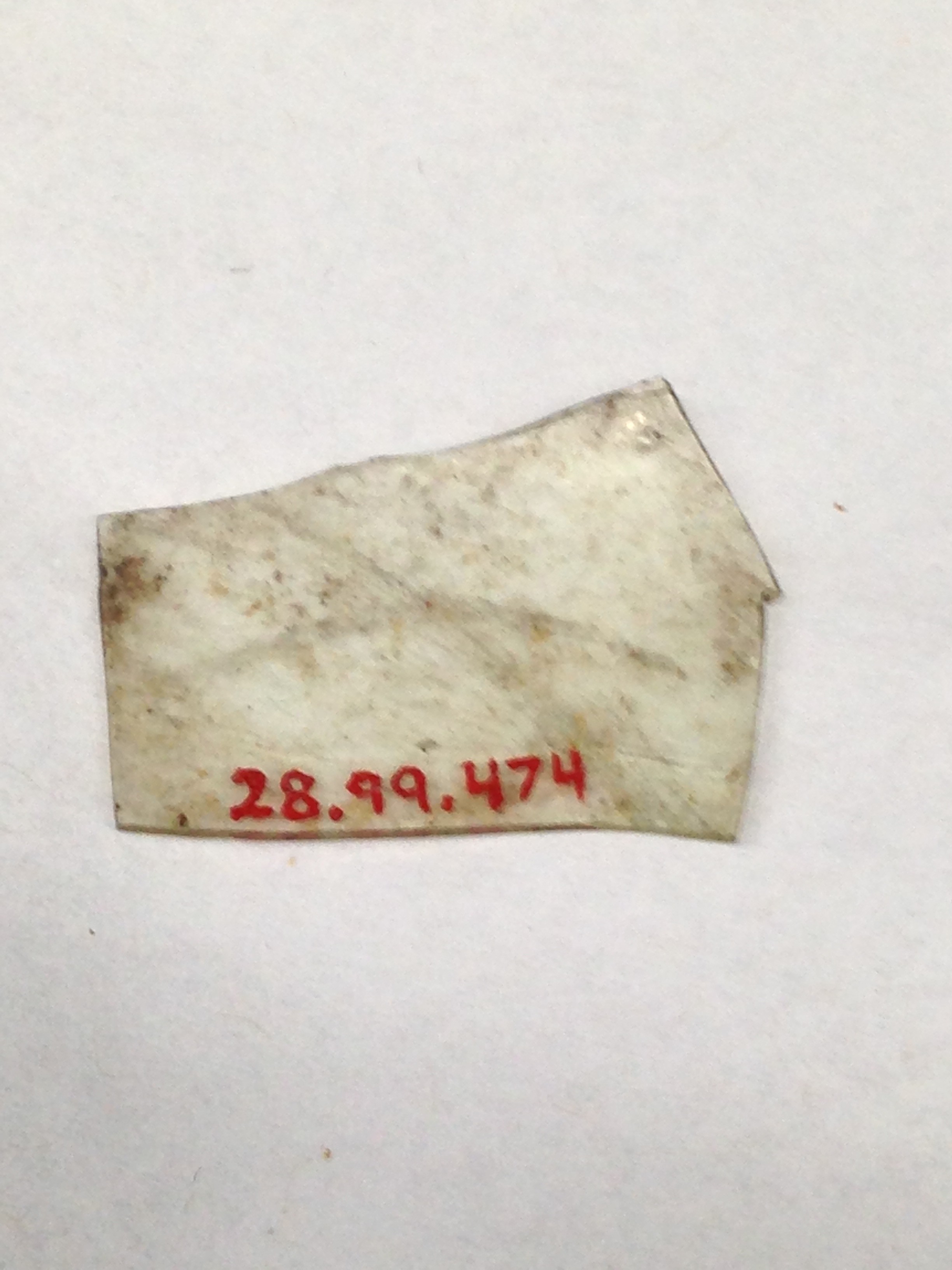 Museum Tagged Stone Artifact Fragment