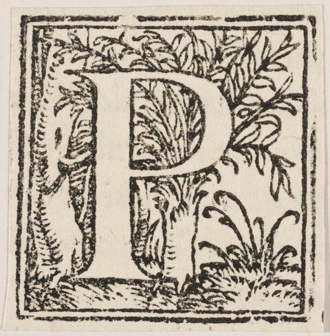 Woodcut Decorated Initial P