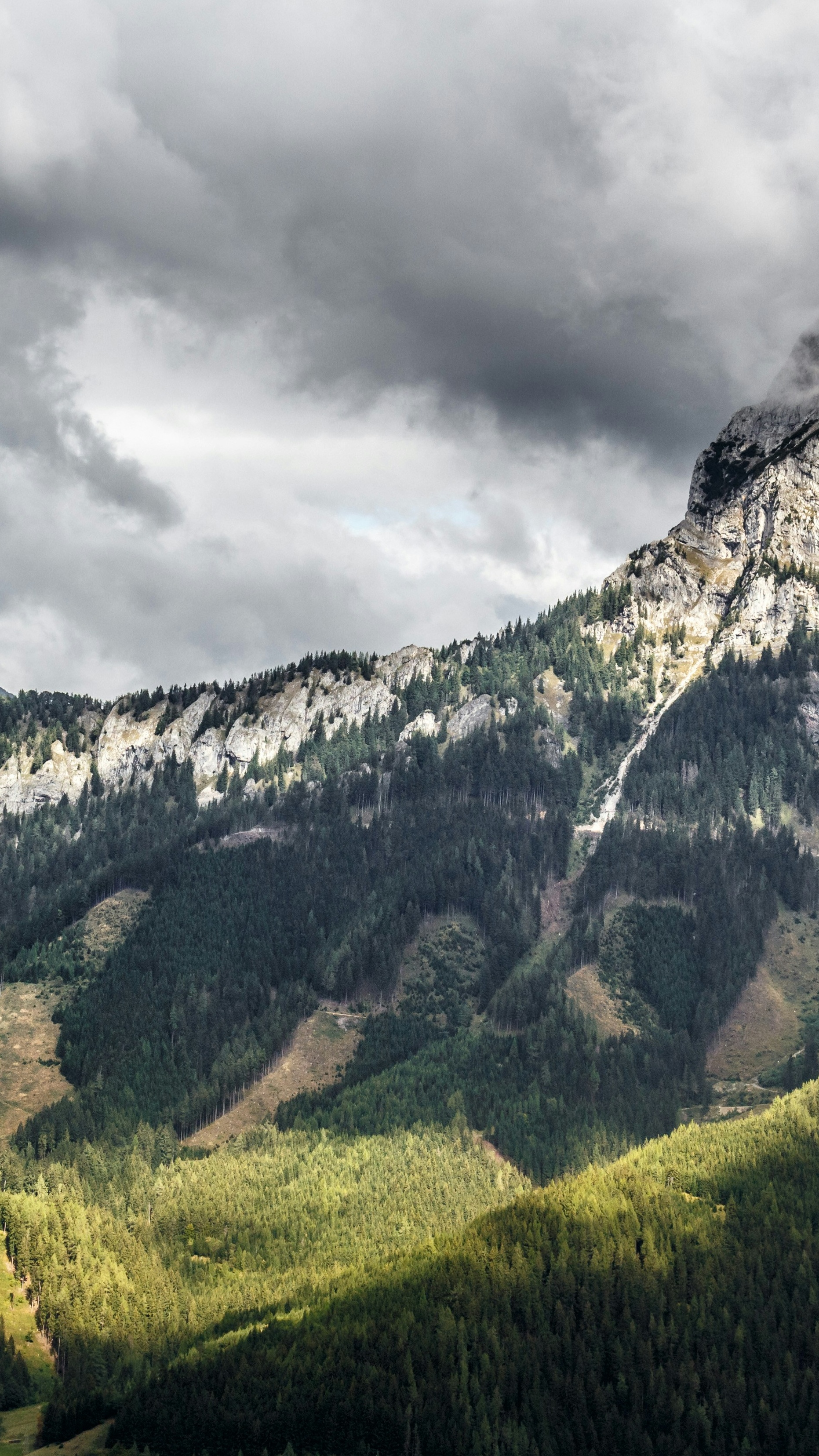Forested Mountain Under Overcast Sky