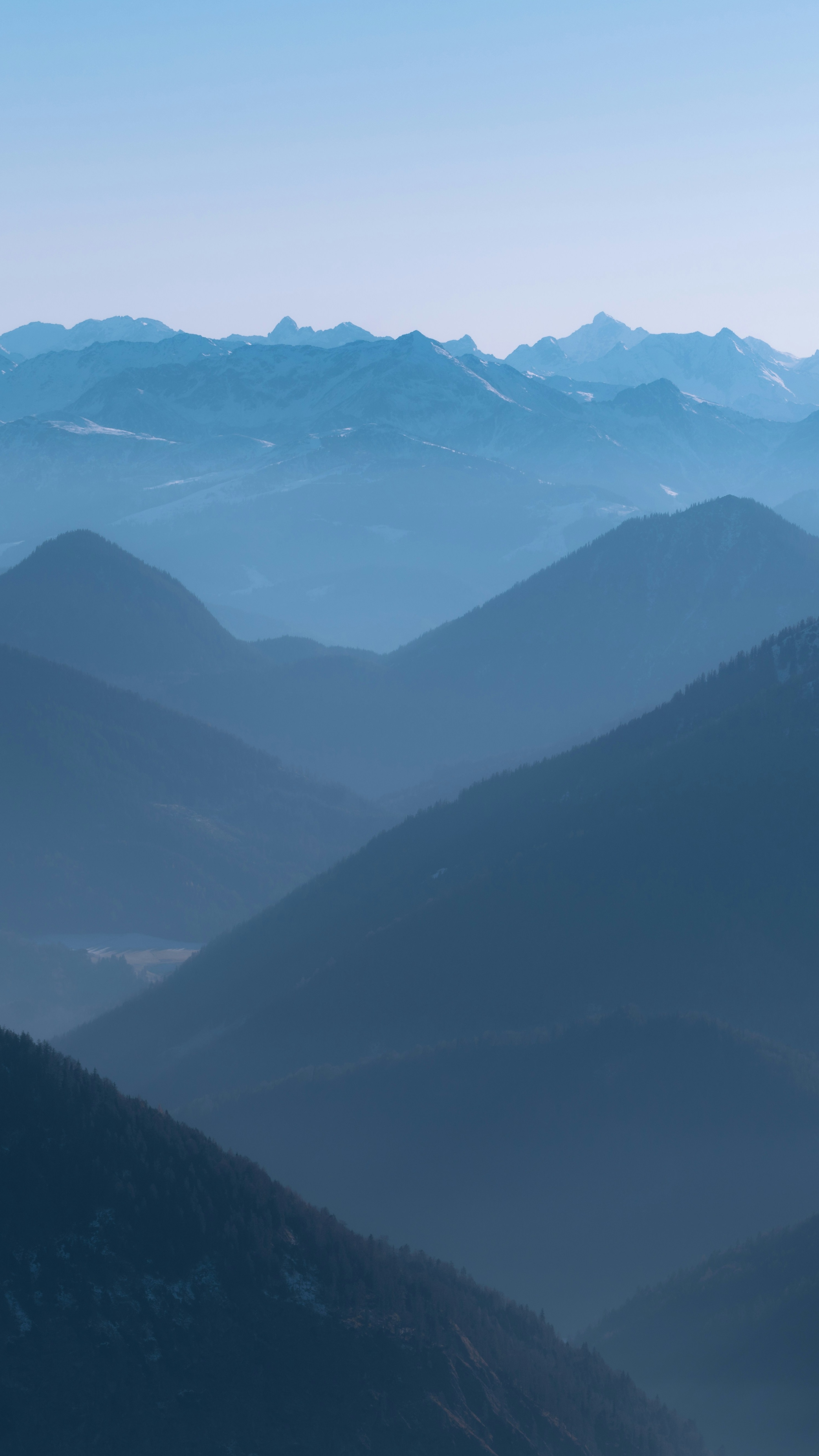 Wallpapers