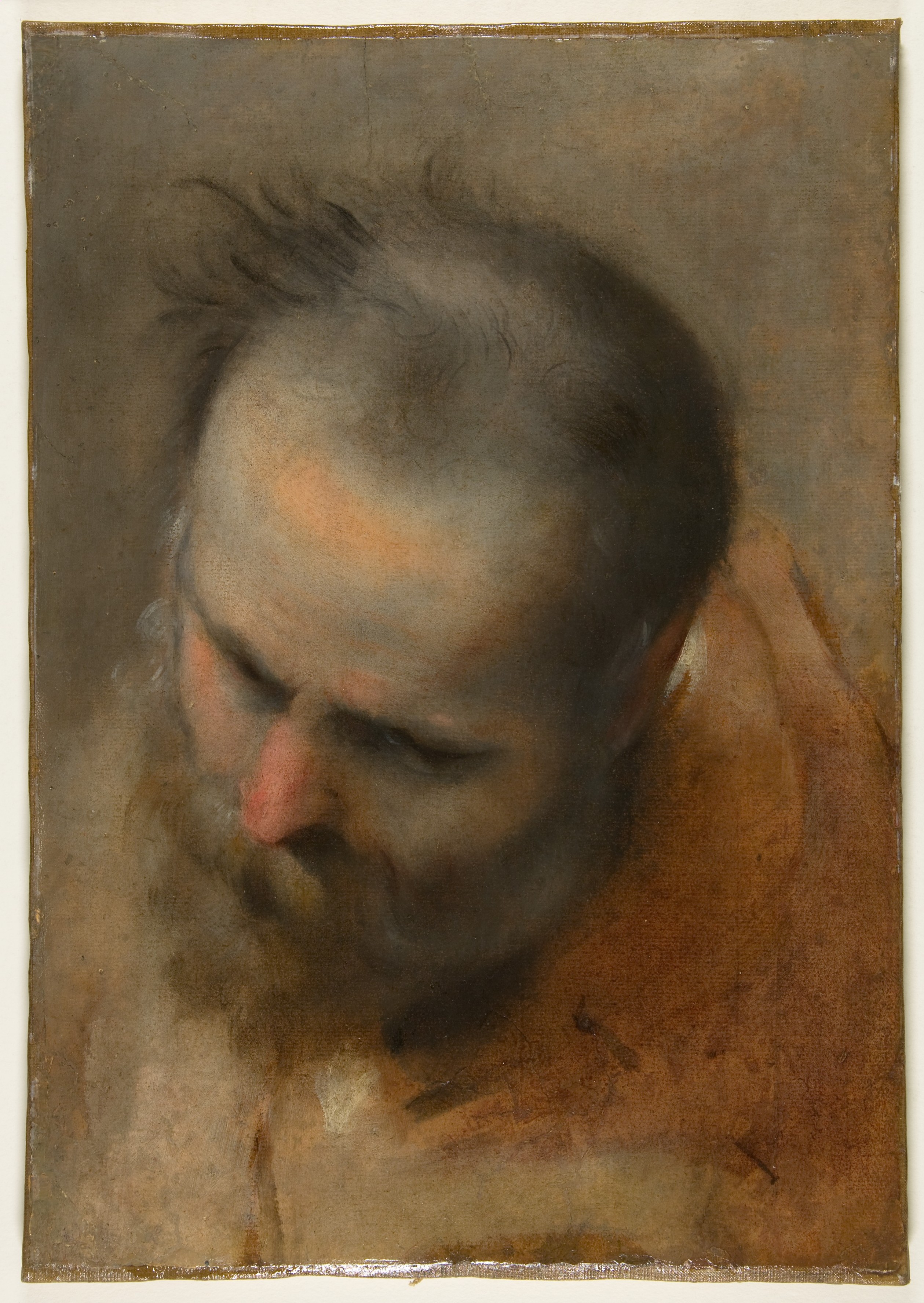 Head Study of a Bearded Older Man