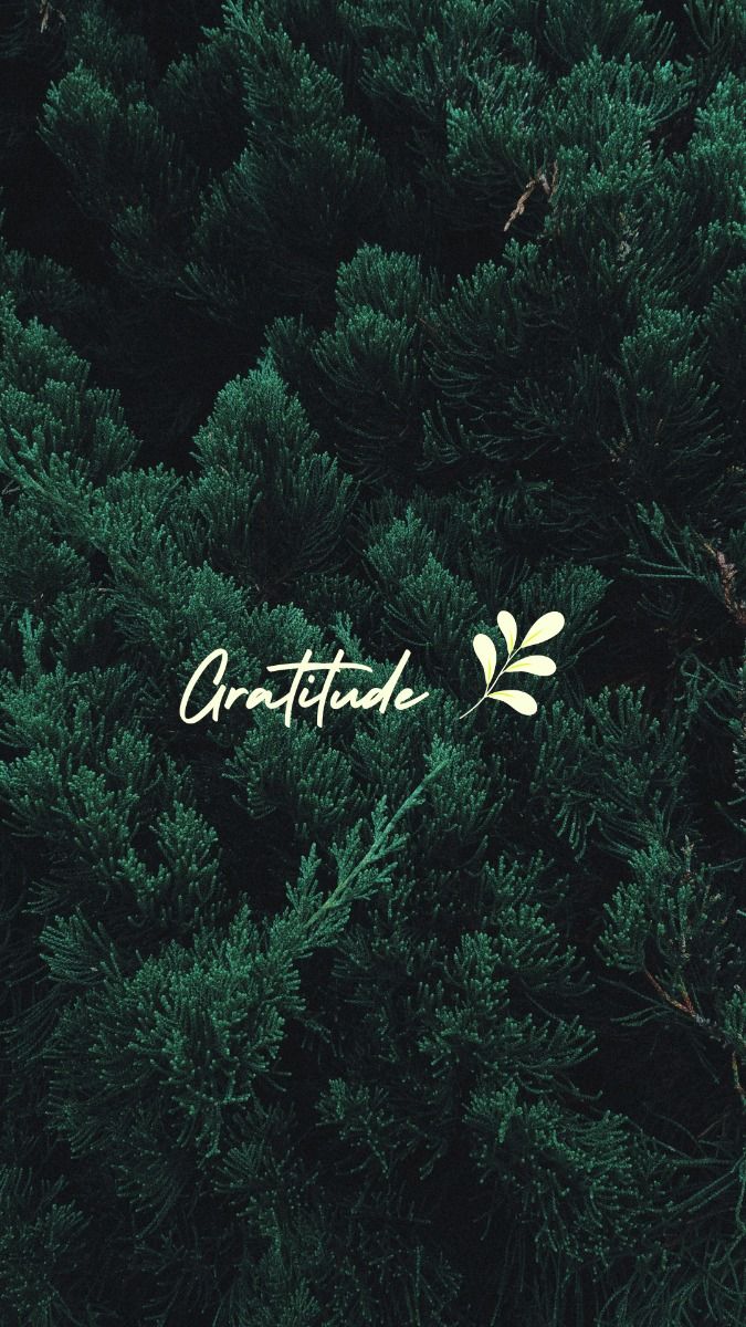 Wallpapers