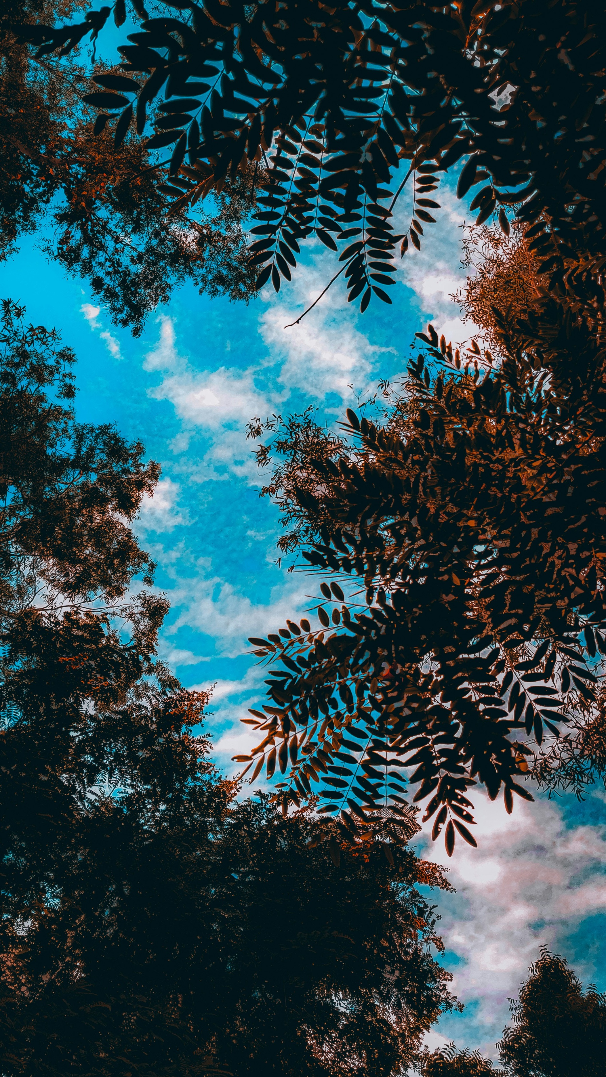 Wallpapers