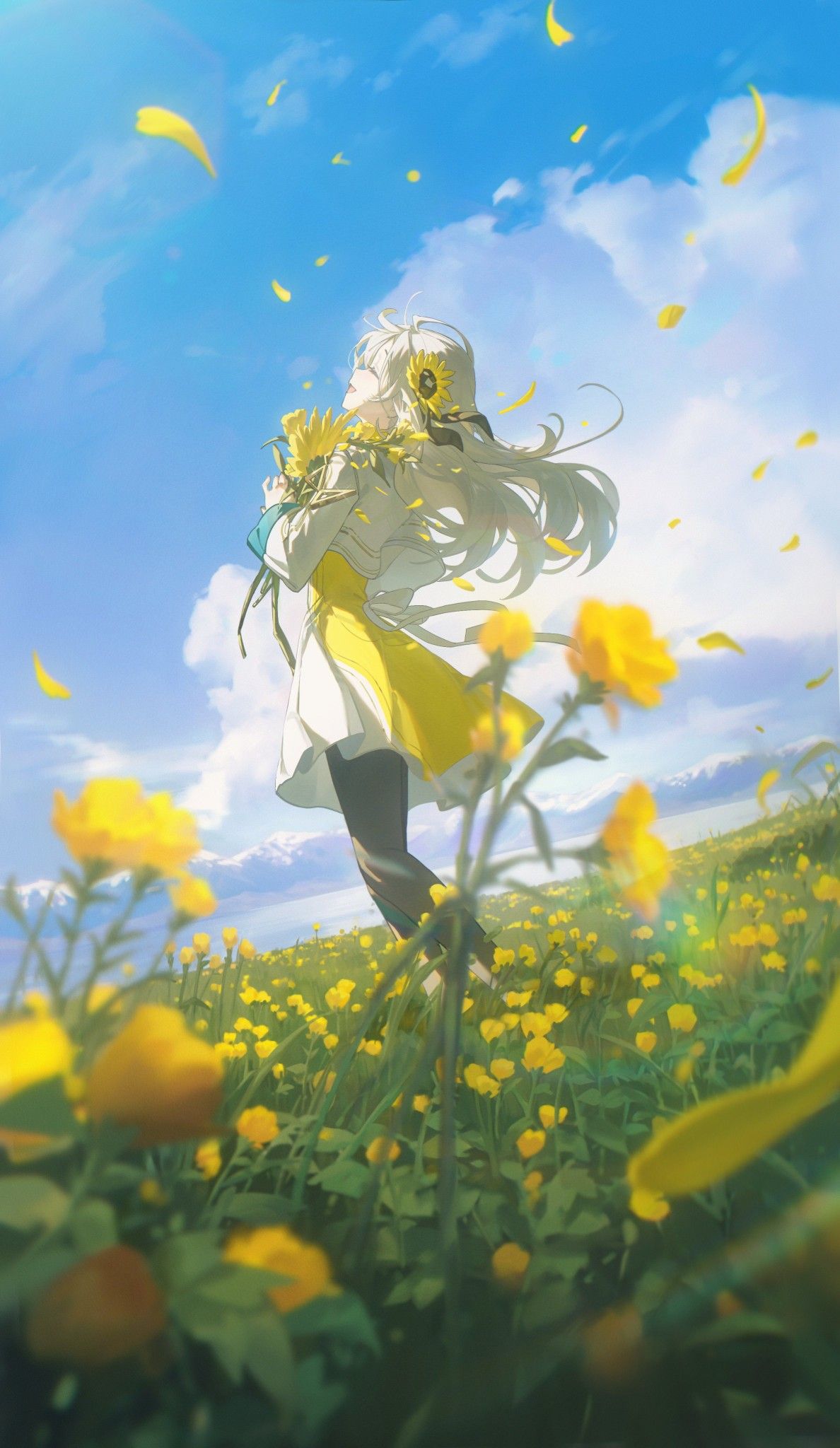Wallpapers