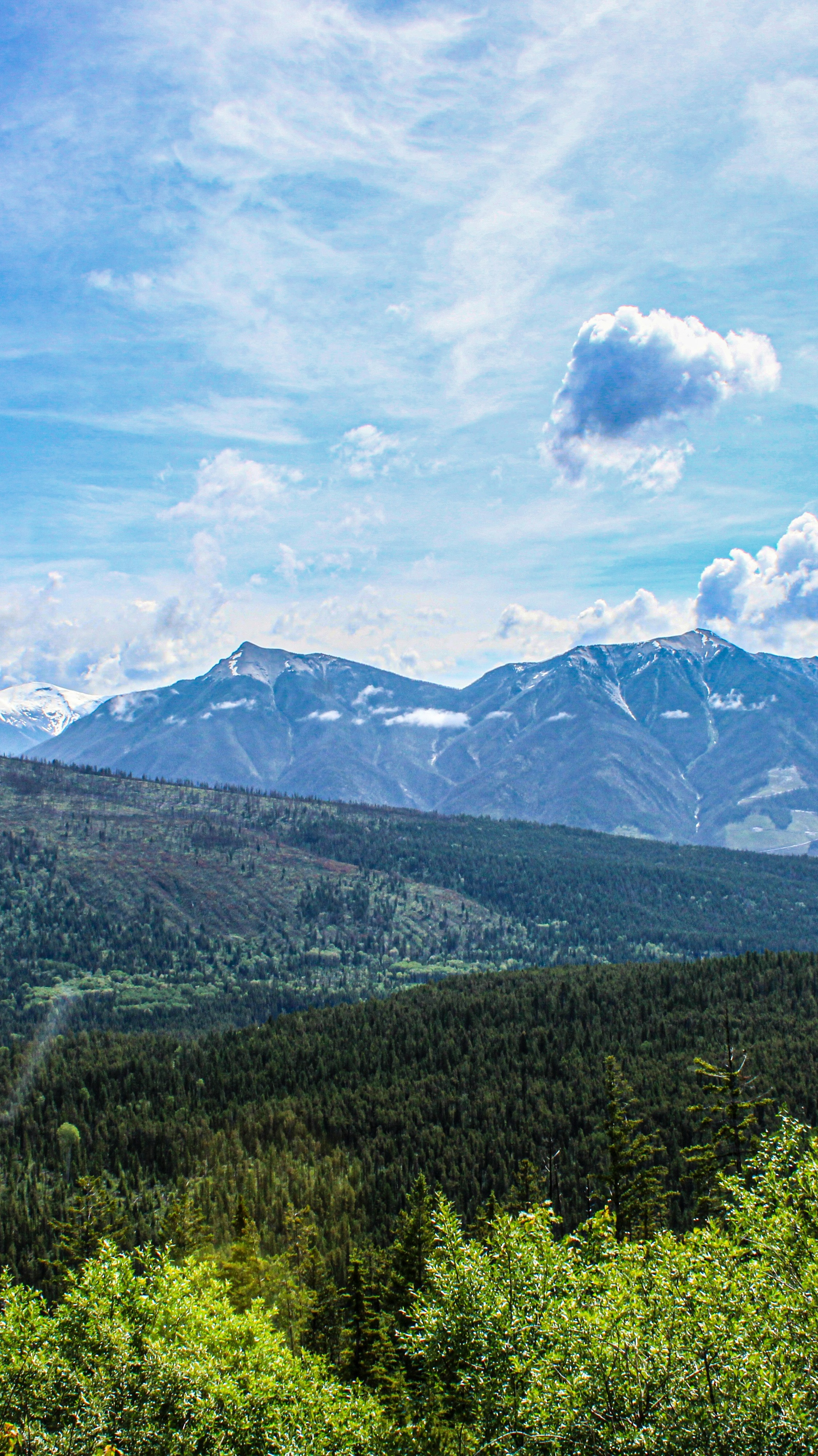 Landscapes