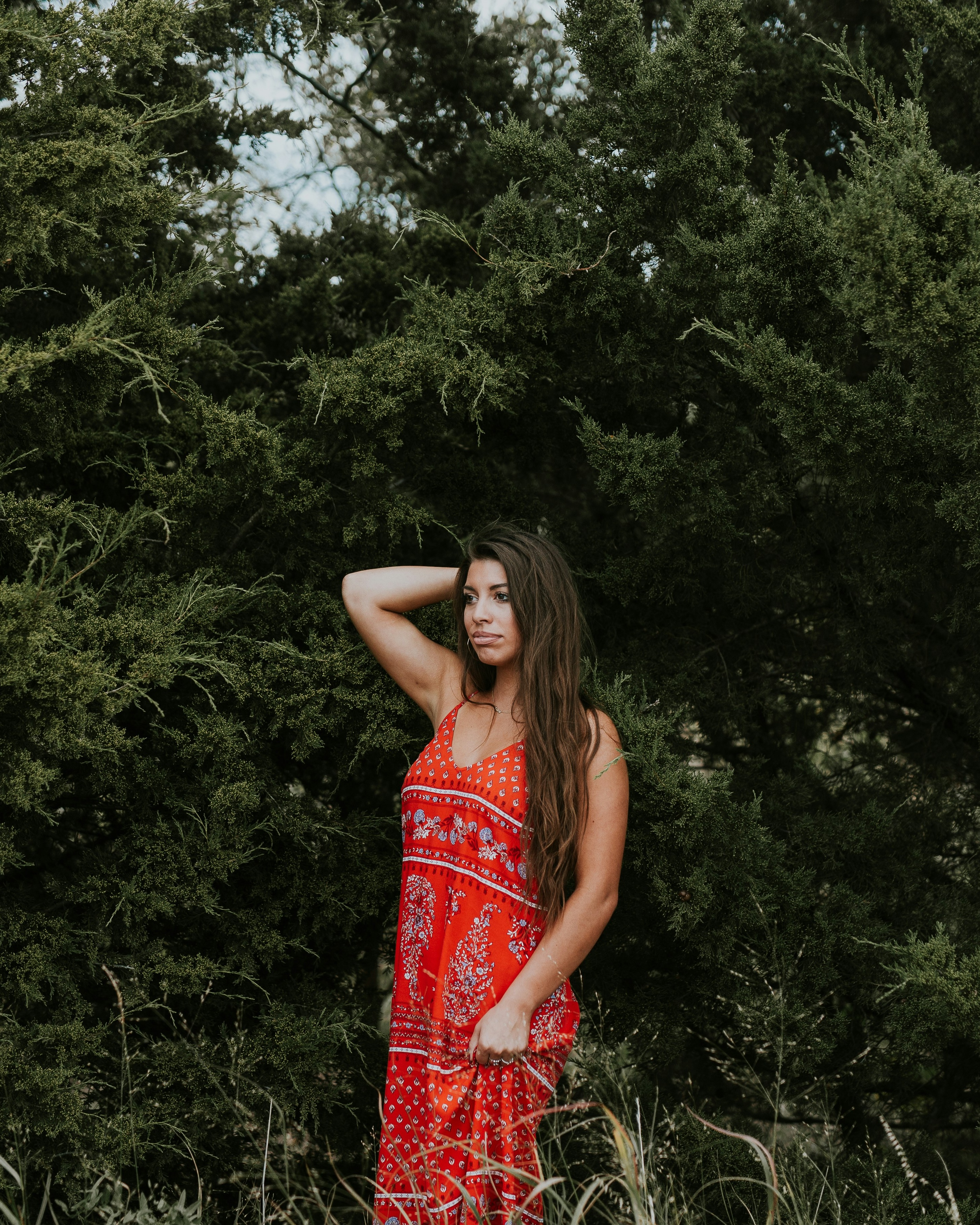 Forest & Flora