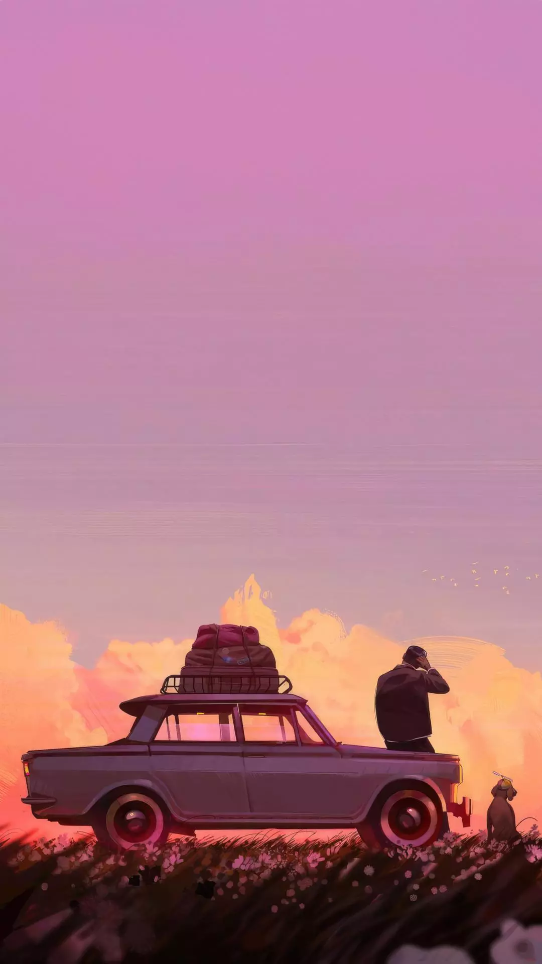 Wallpapers