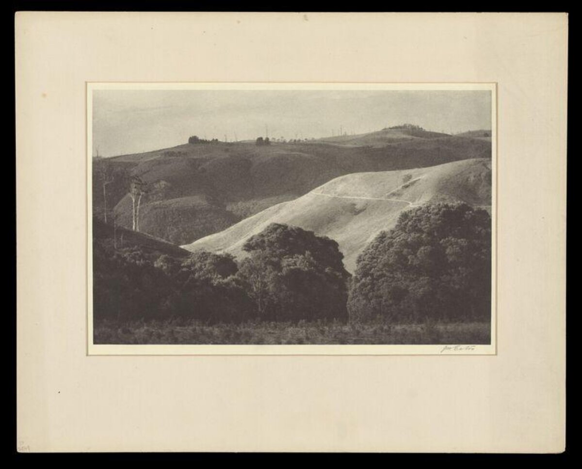 Black and White Rolling Hills Landscape
