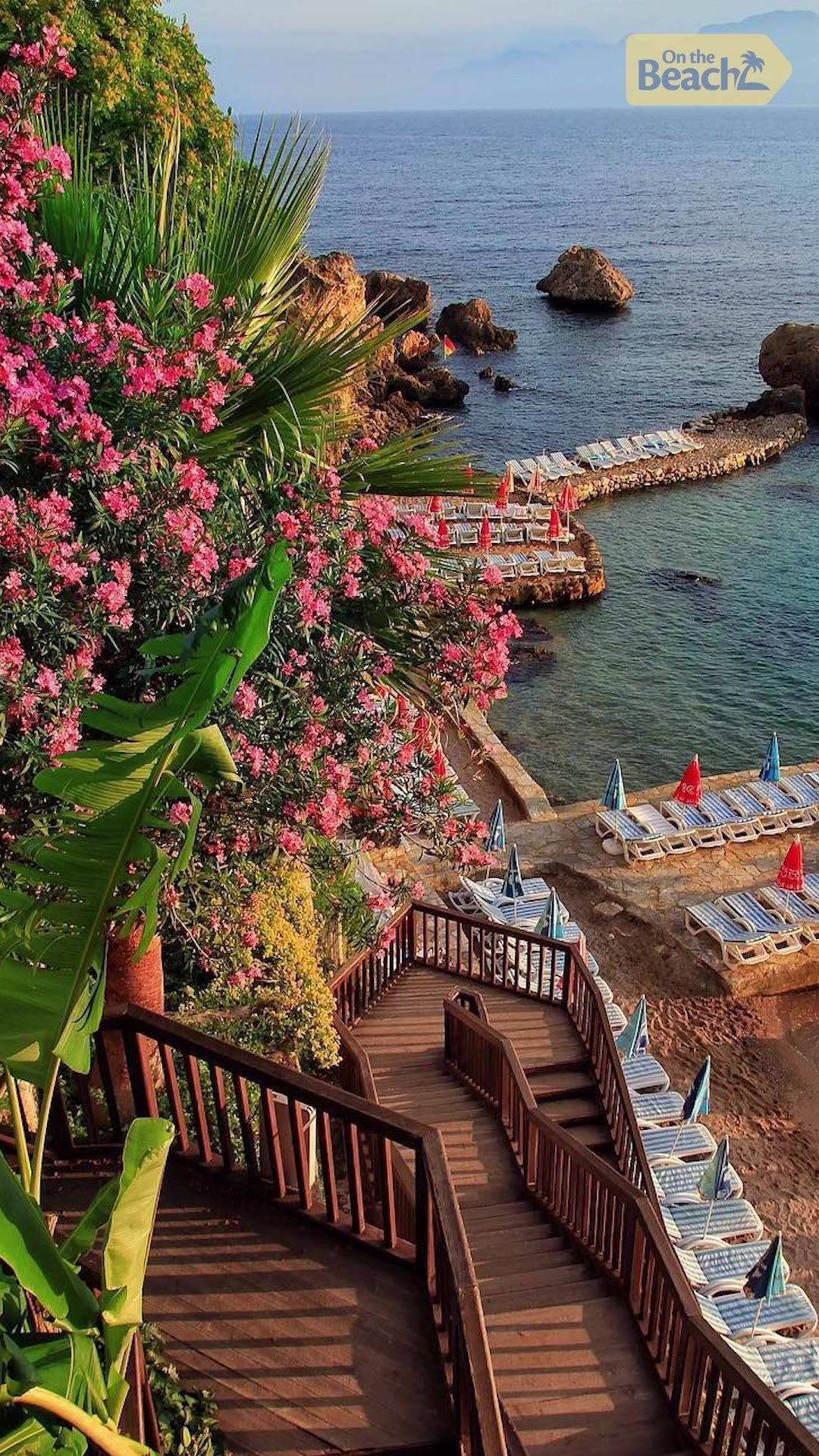 Cliffside Coastal Beach View