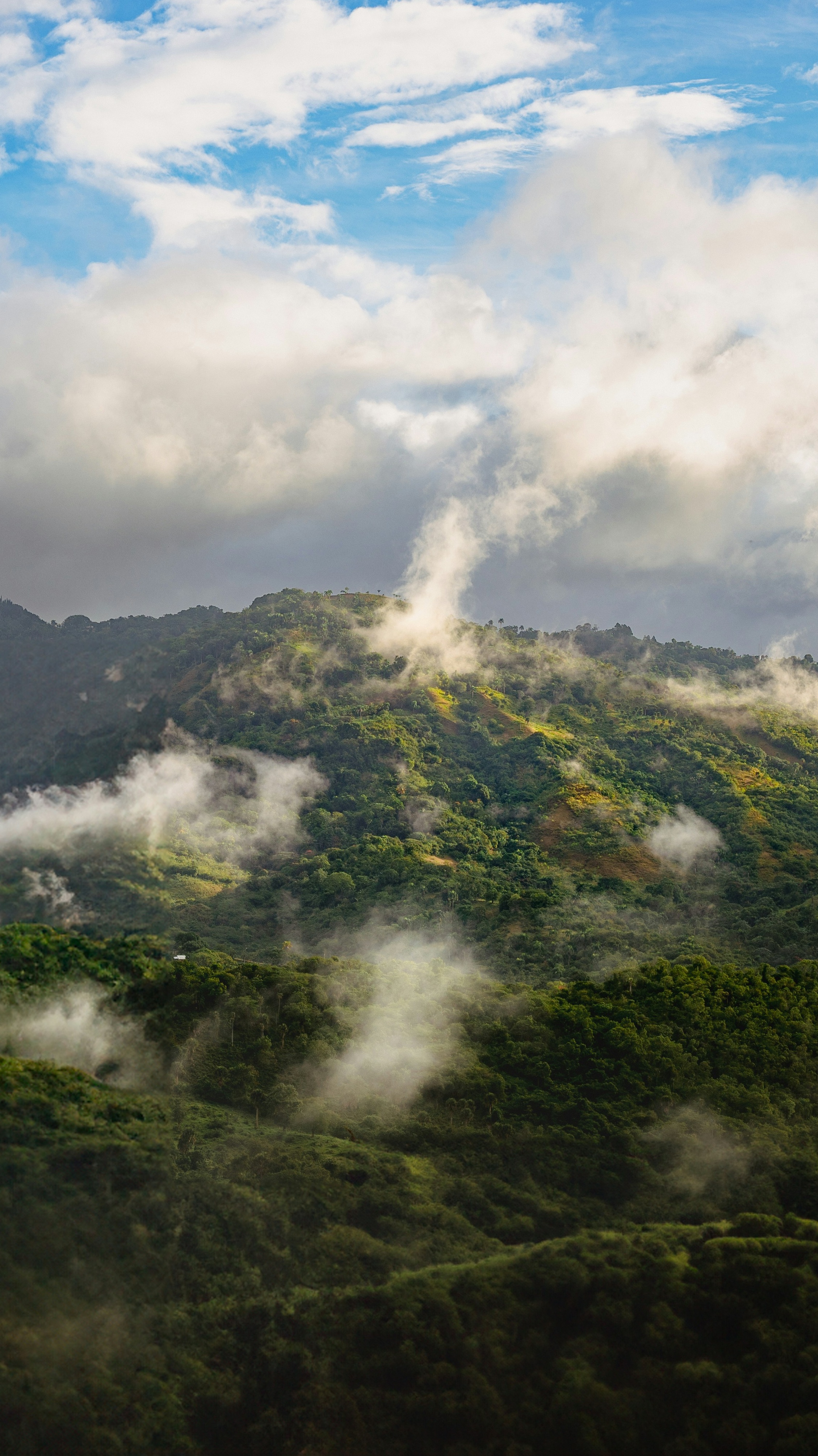 Landscapes