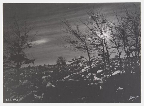 Moonlit Winter Wasteland
