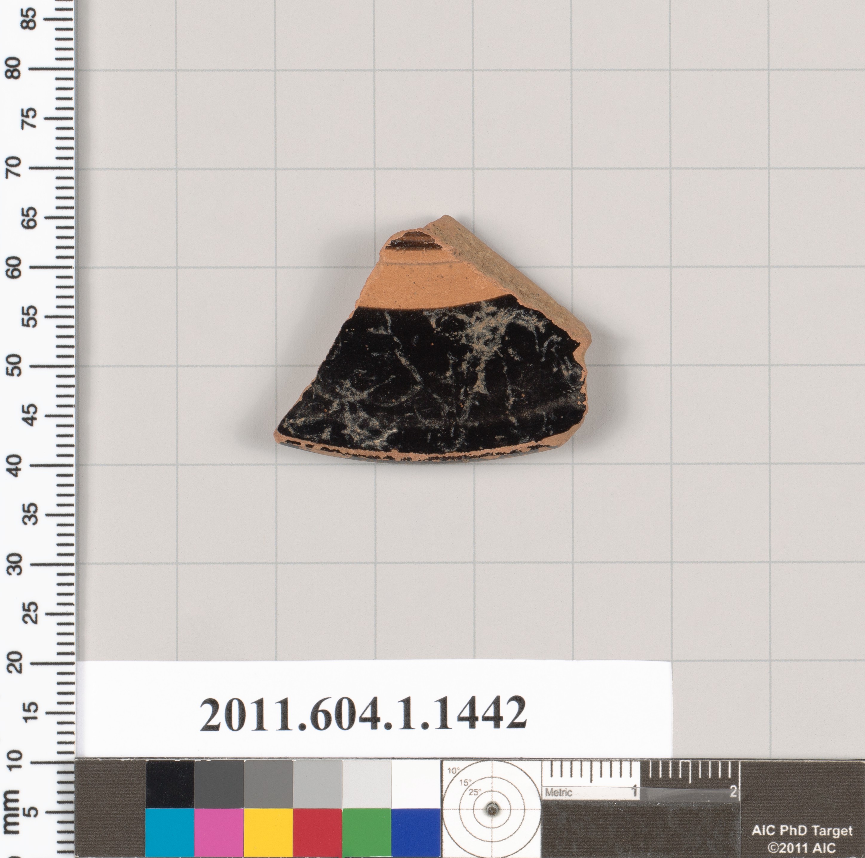 Ancient Pottery Shard Specimen