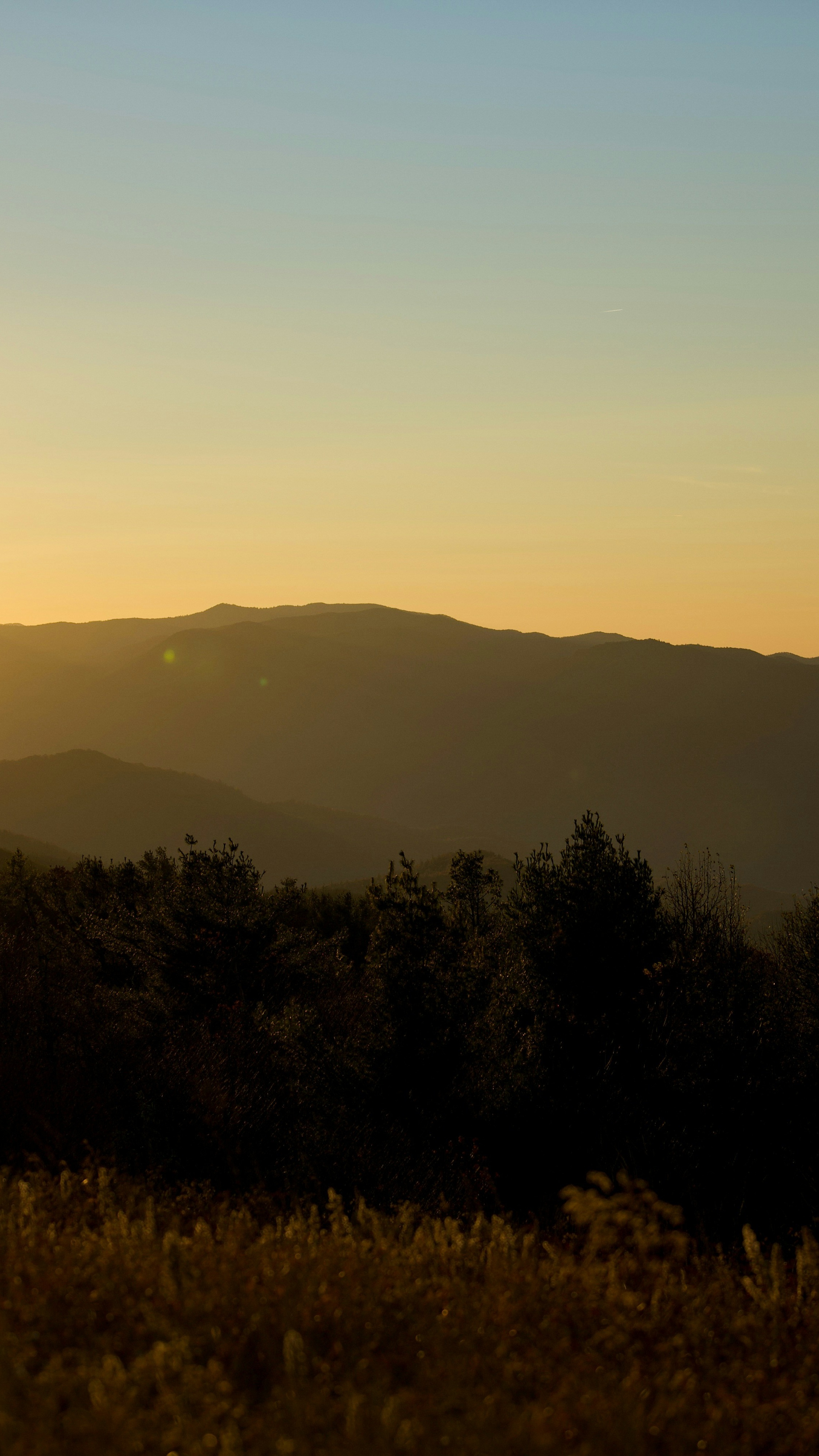 Landscapes