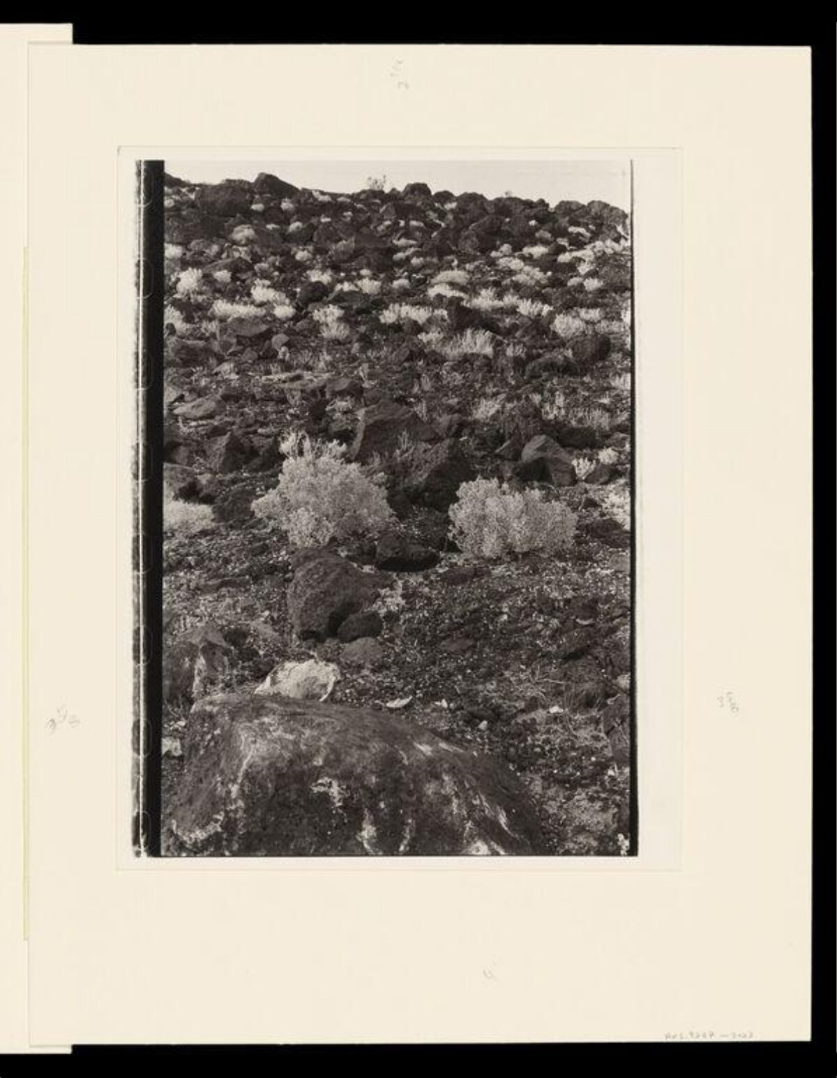 Black and White Rocky Desert Hillside