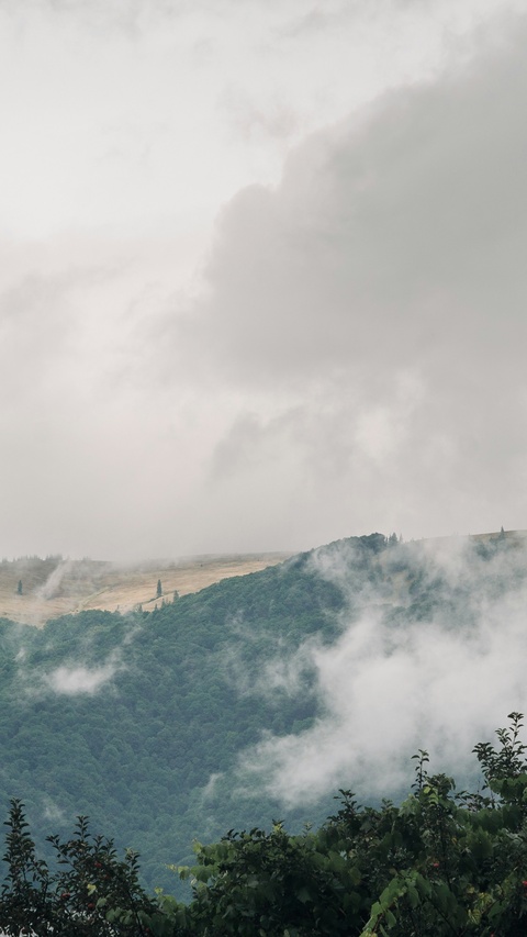 Misty Mountain Landscape