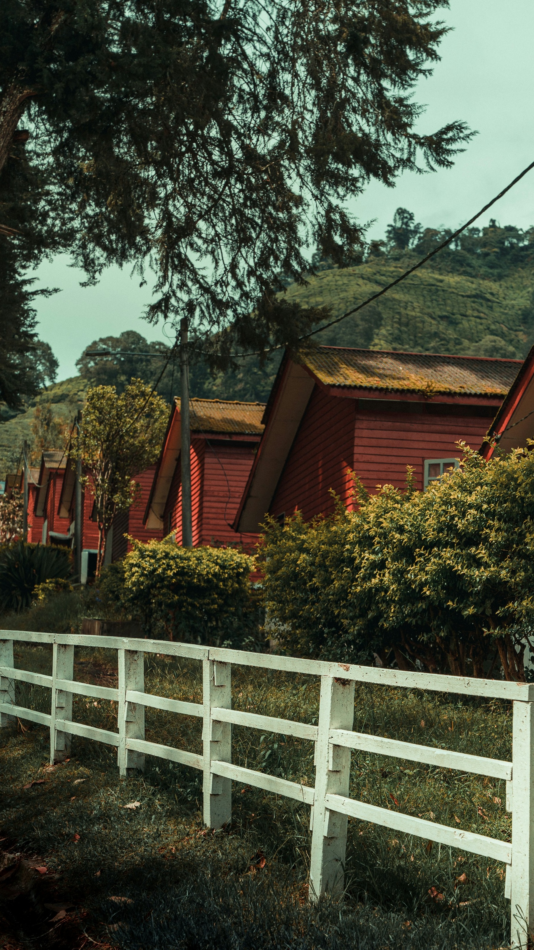 Red Wooden Cabins on Hillside