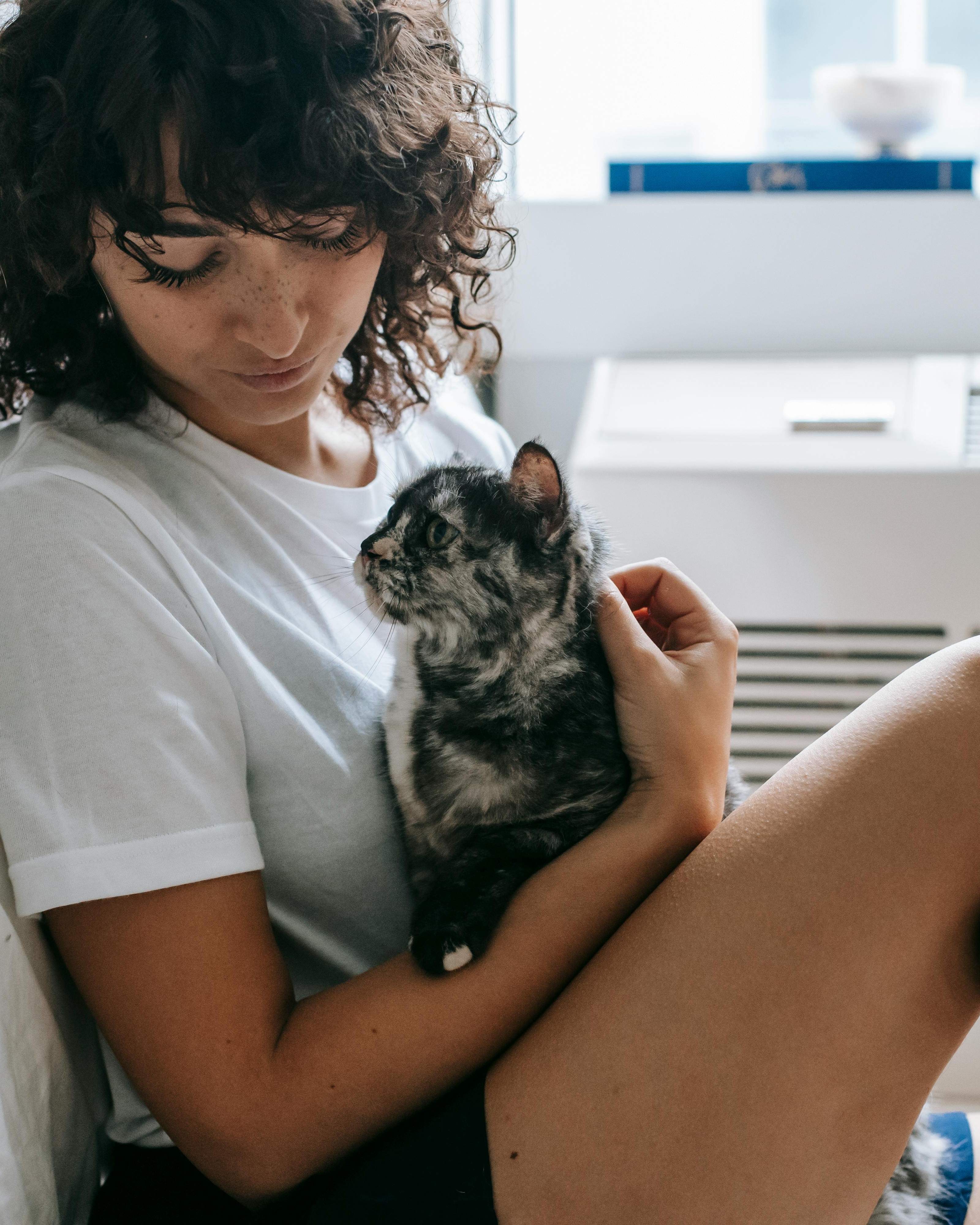Image 1509054 — Pets