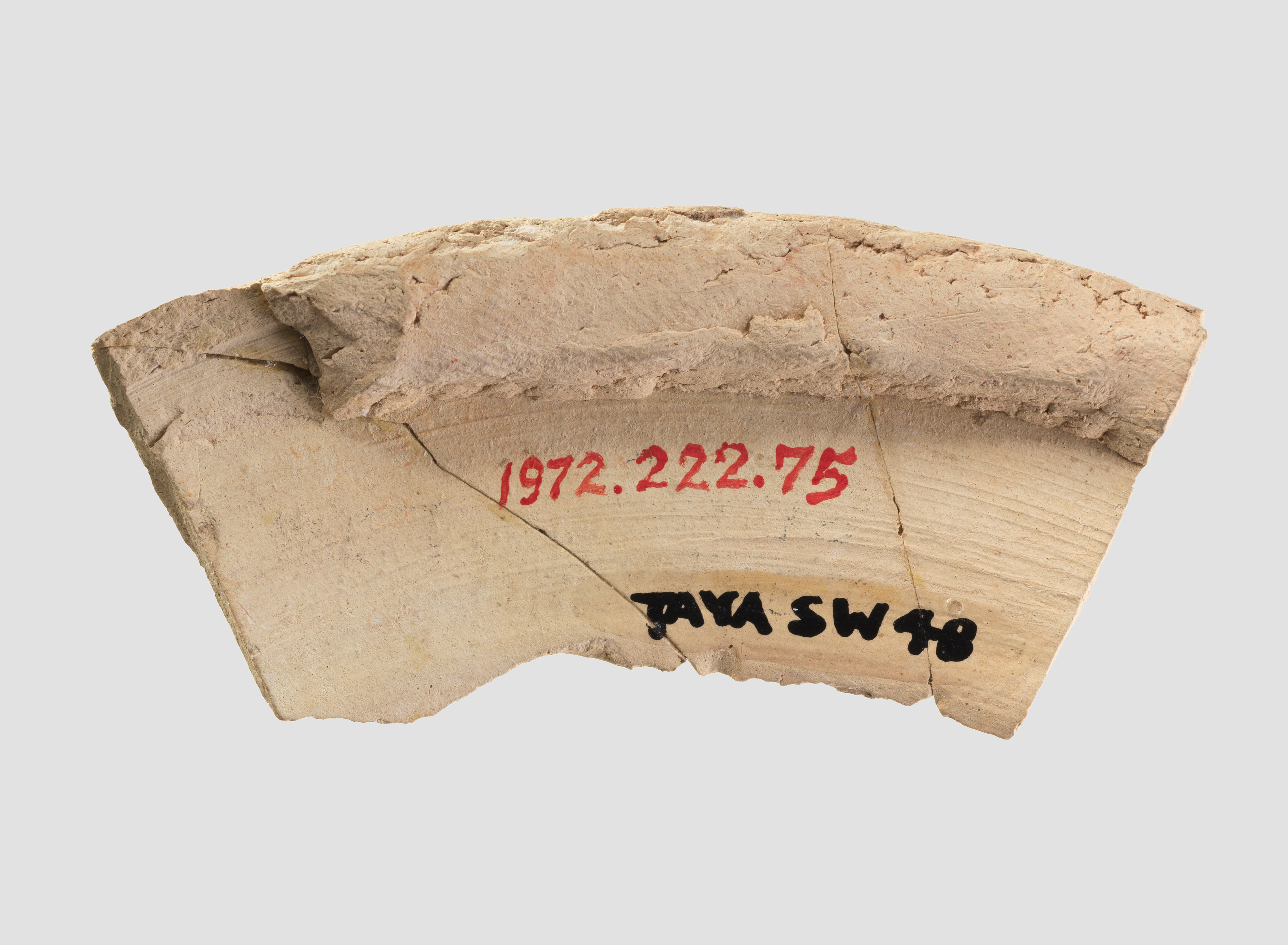 Labeled Archaeological Pottery Shard