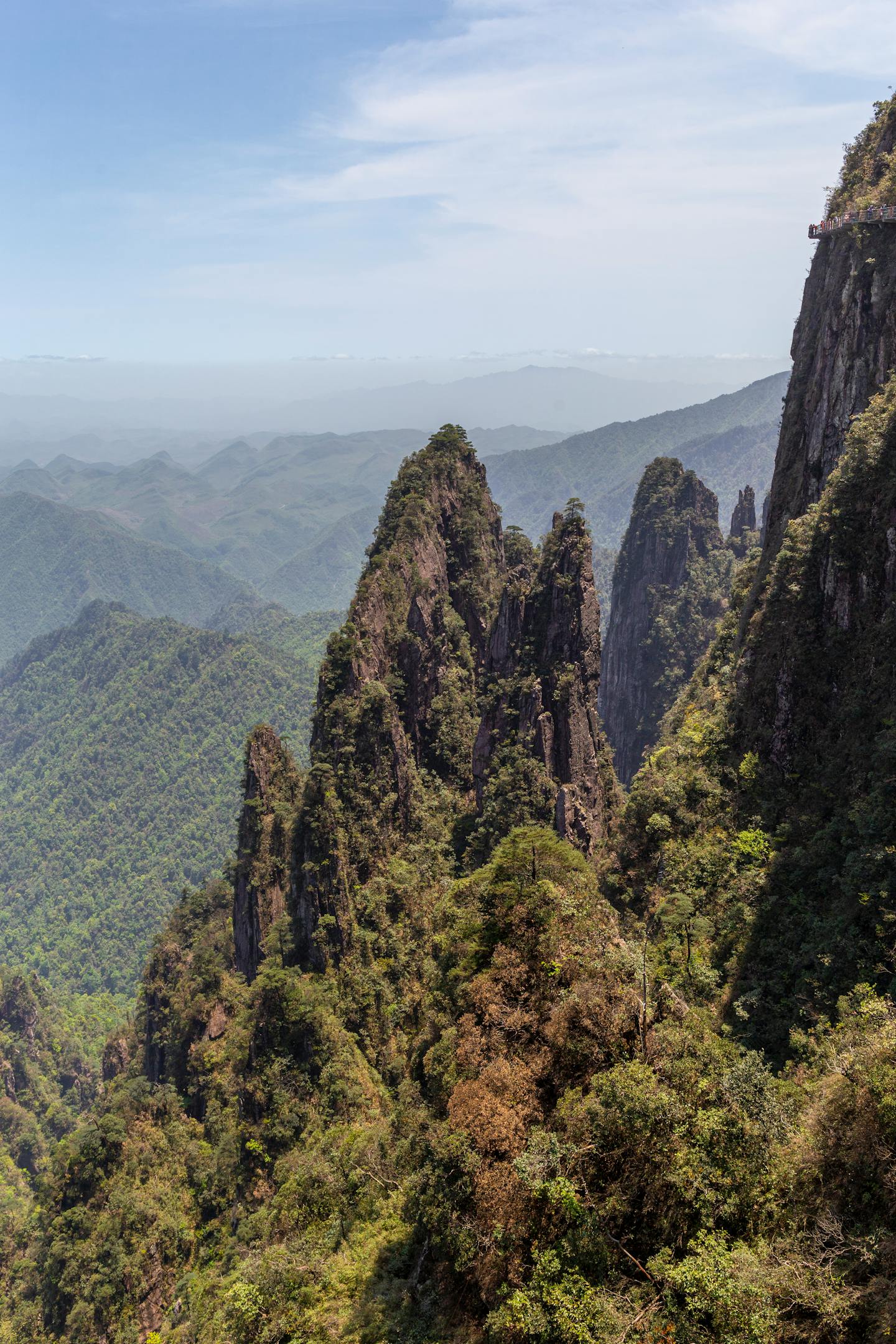 Jagged Forested Mountain Peaks