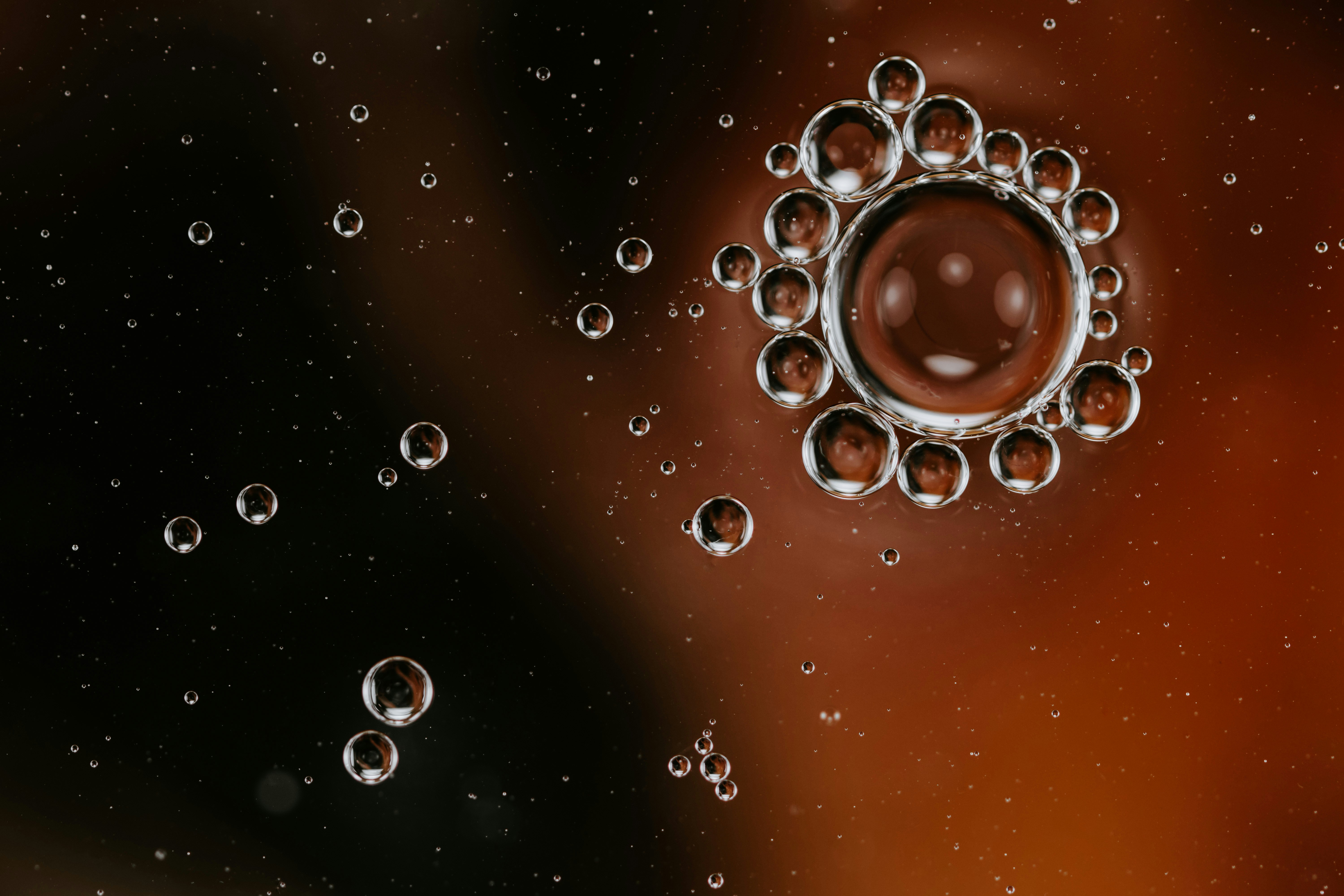Transparent Bubbles in Brown Liquid