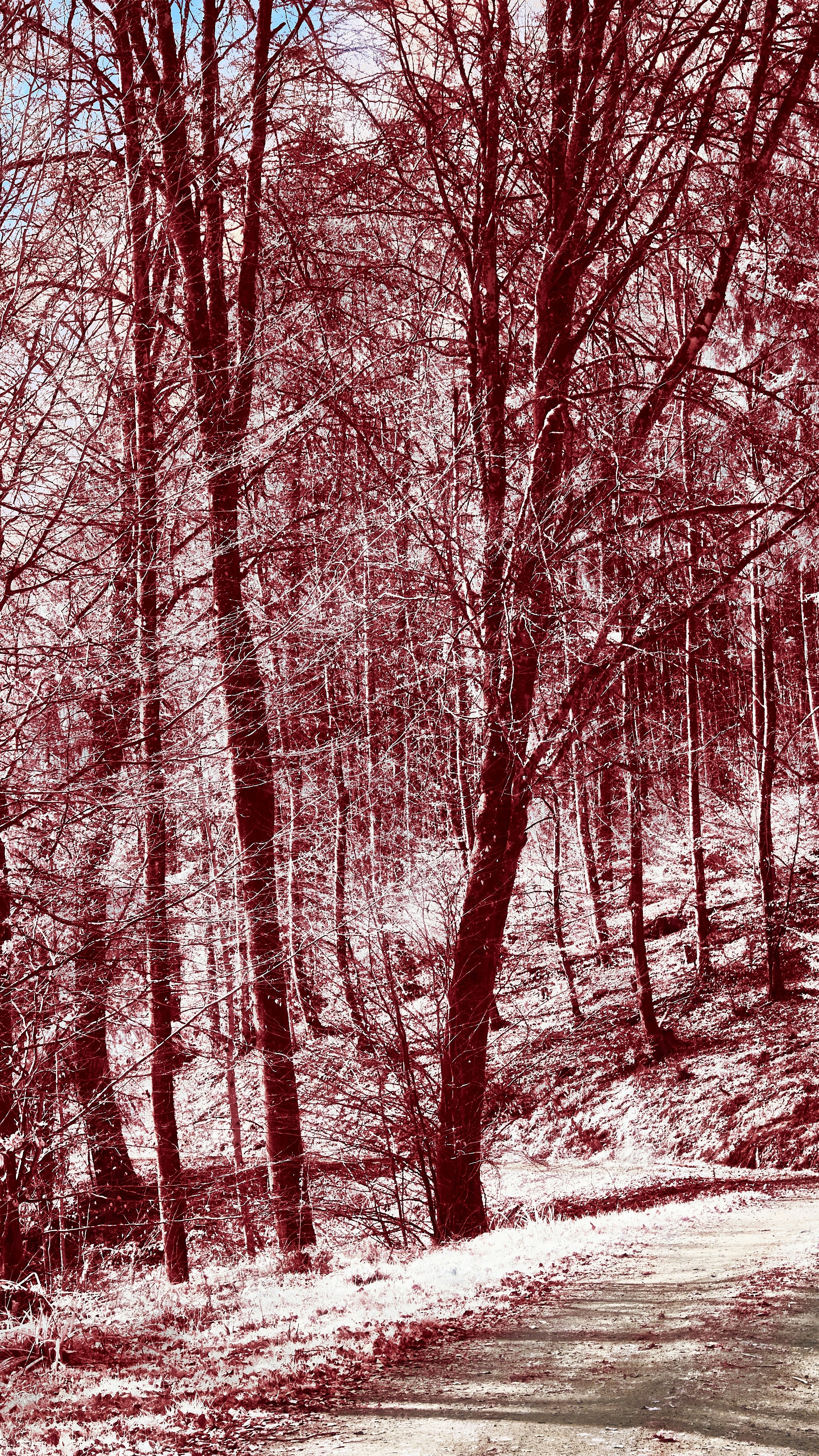 Wallpapers