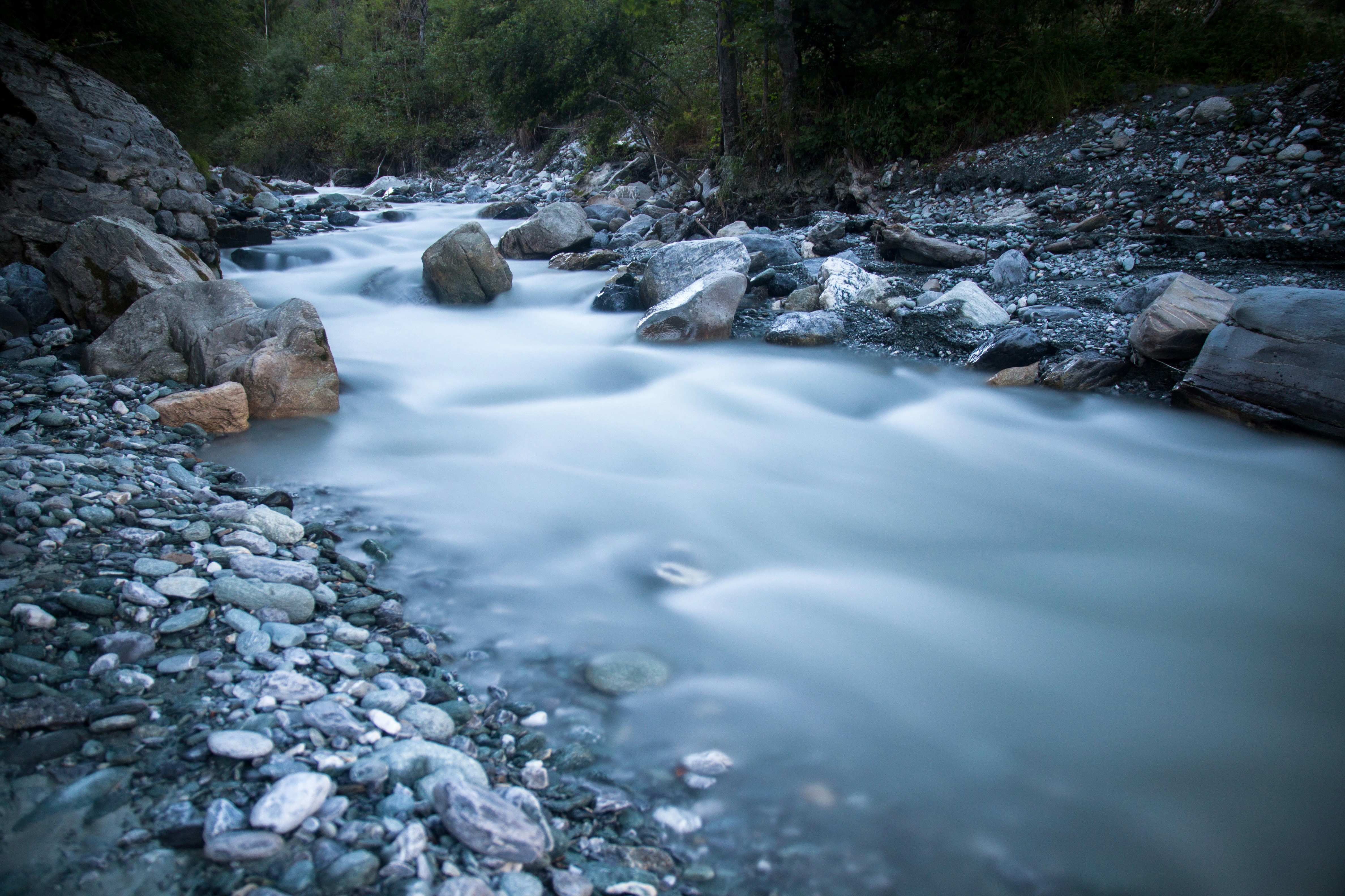 Rocky Stream in Forest
