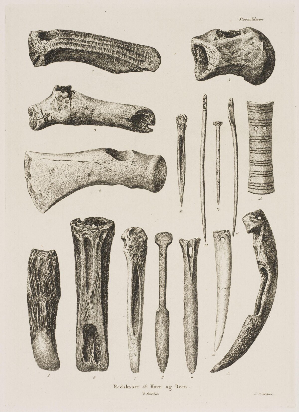 Stone Age Bone and Horn Tools Illustration