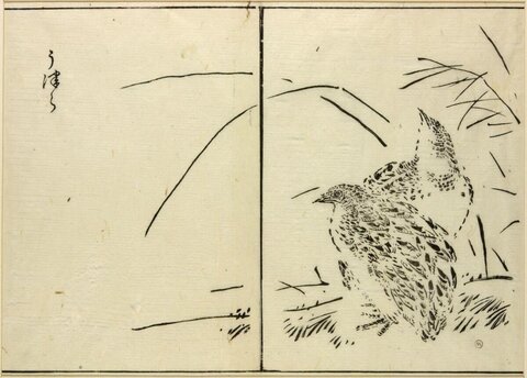 Japanese Ink Sketch of Two Quails