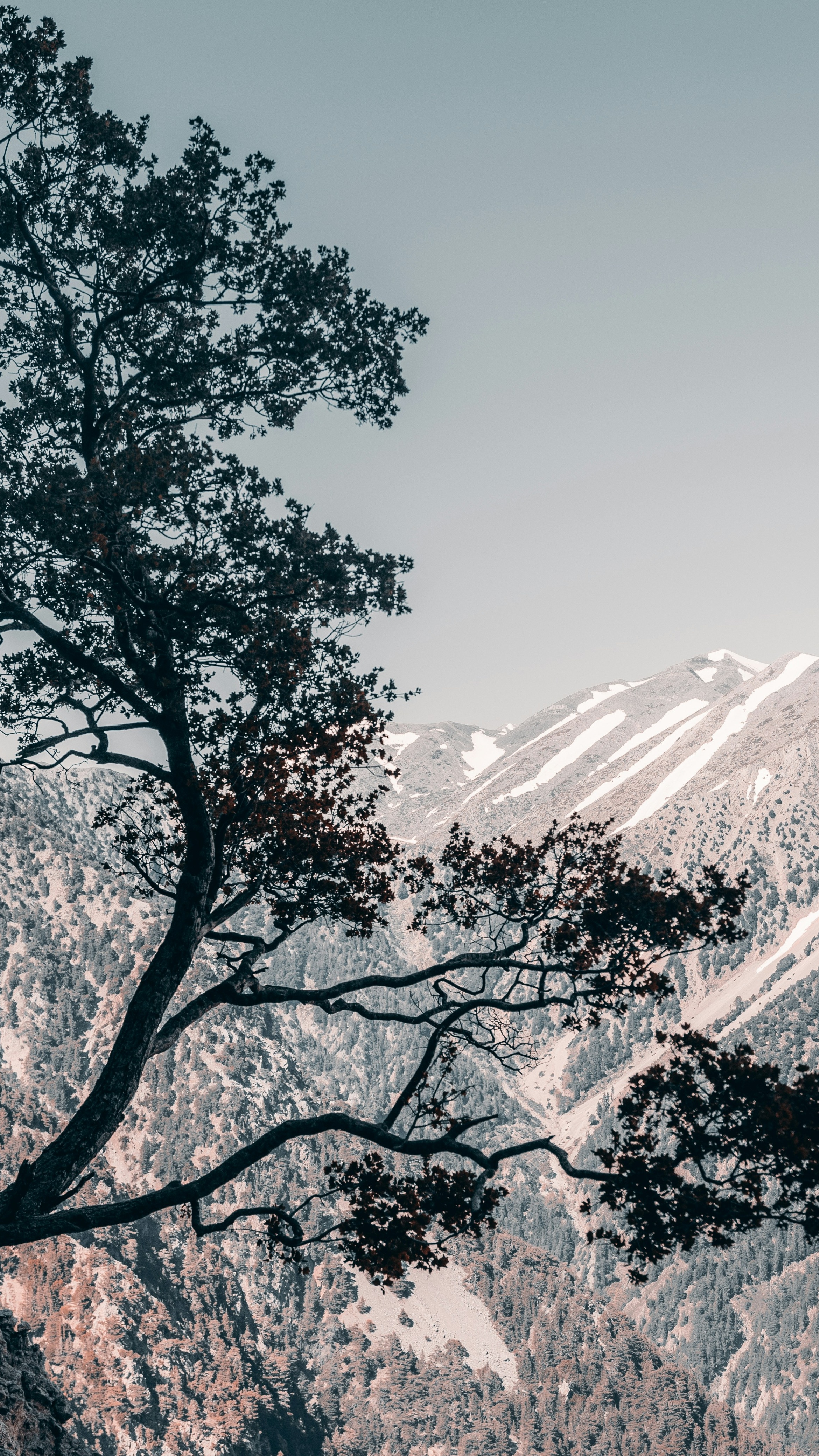 Wallpapers
