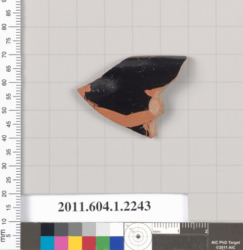 Ancient pottery shard specimen