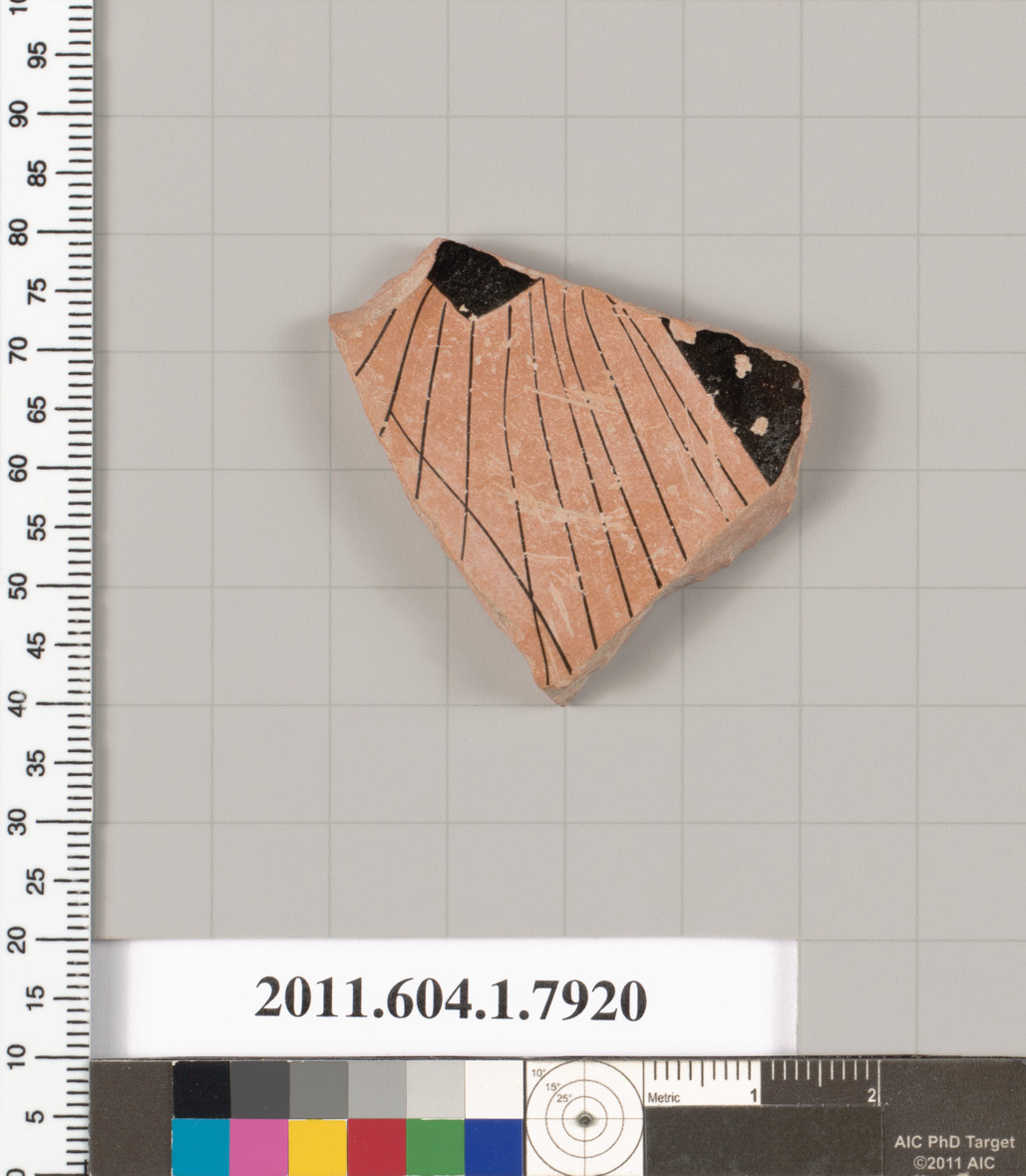 Ancient Terracotta Pottery Fragment