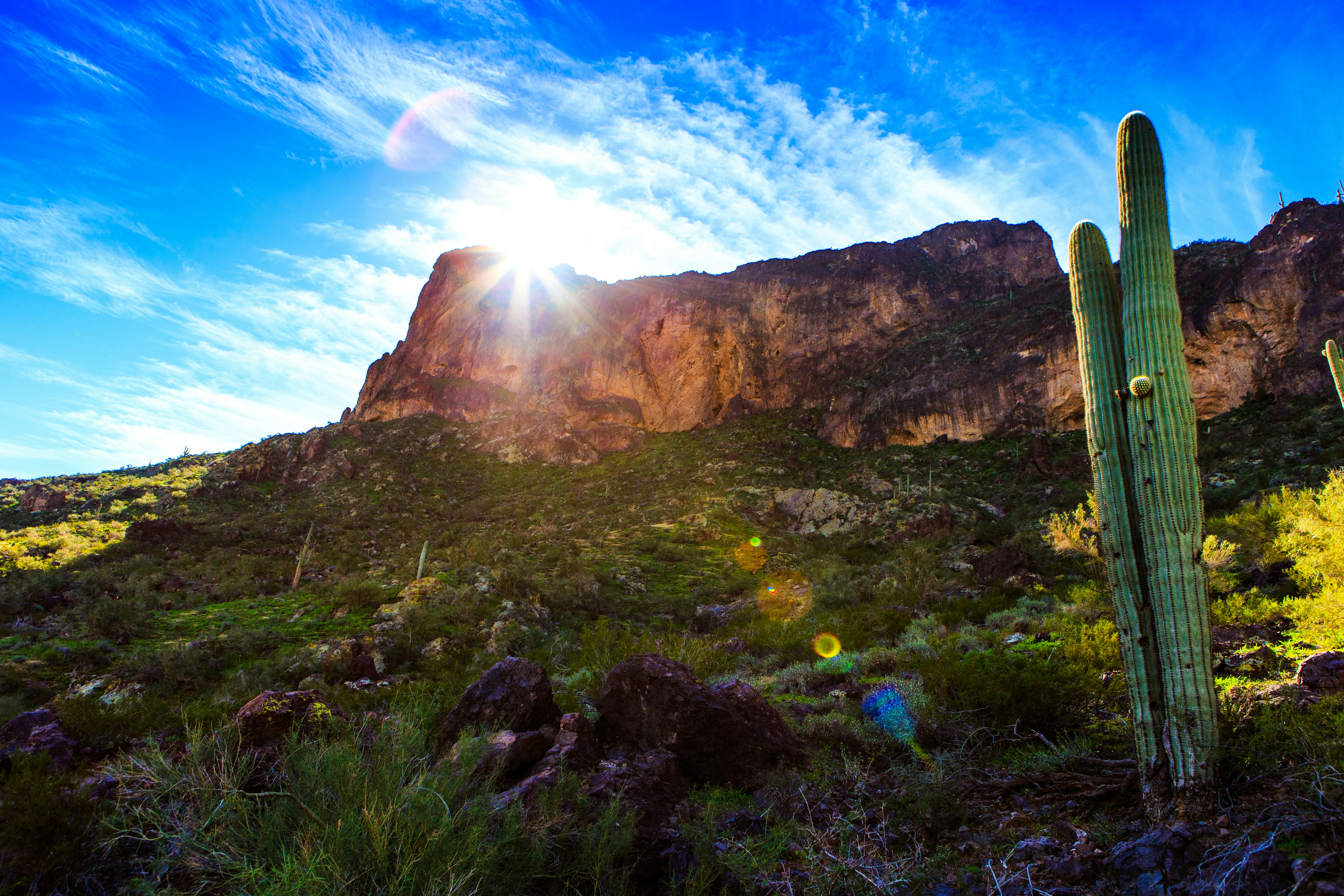 Southwestern Desert Mountain Landscape